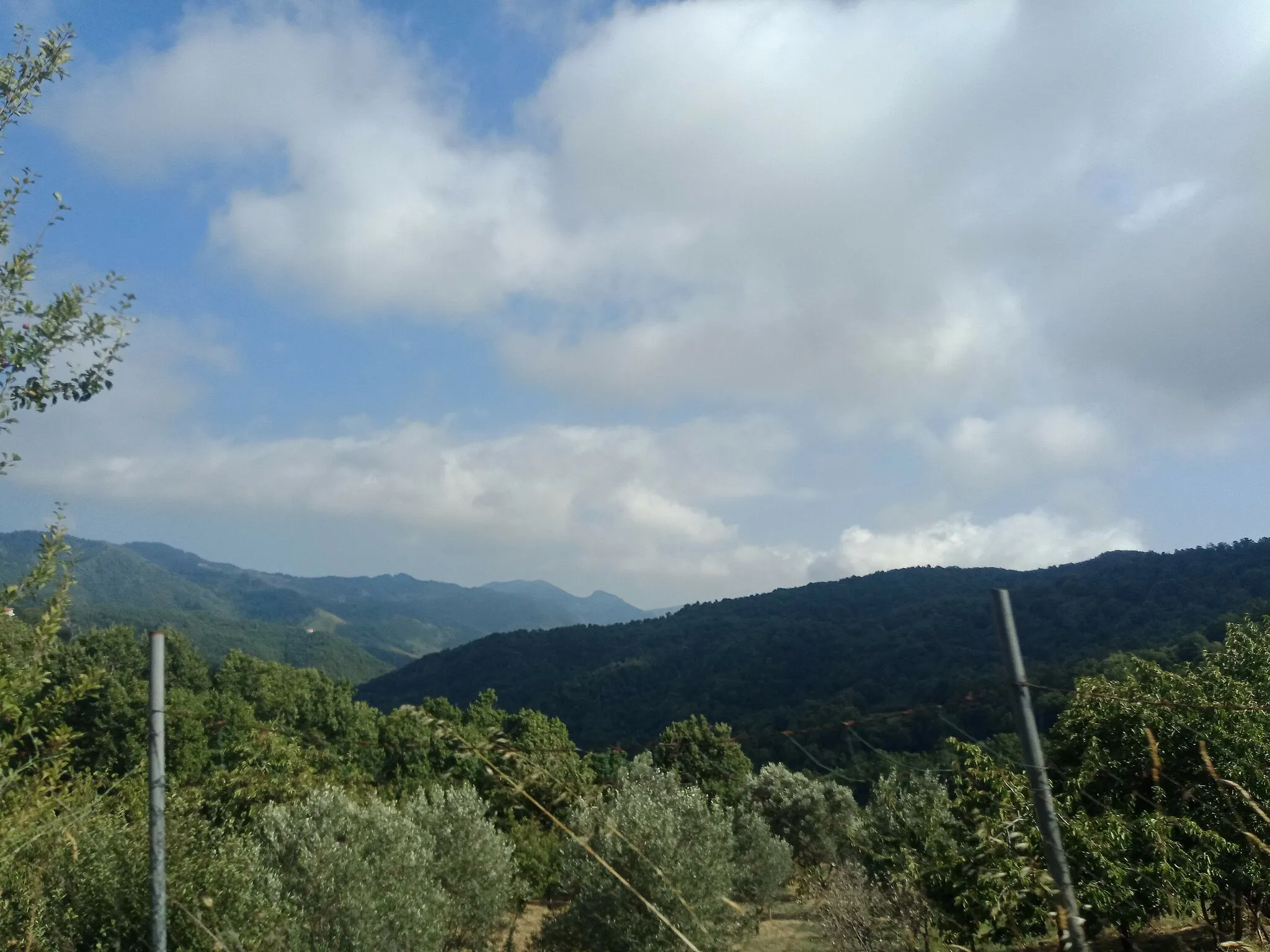 Photo showing: Alcuni monti della Sila Piccola visti da Cicala