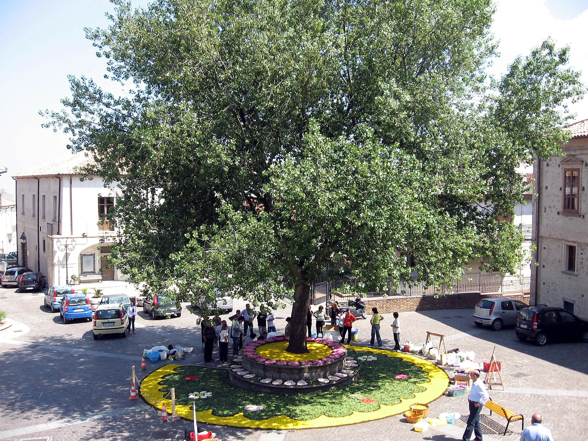 Photo showing: Infiorata Corpus Domini (2007)