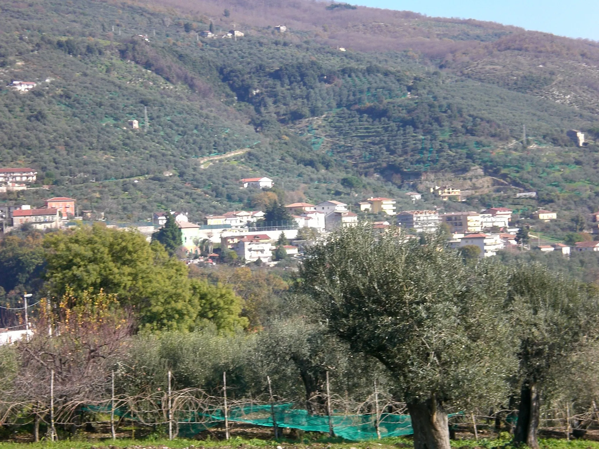 Photo showing: Panorama of Folcata