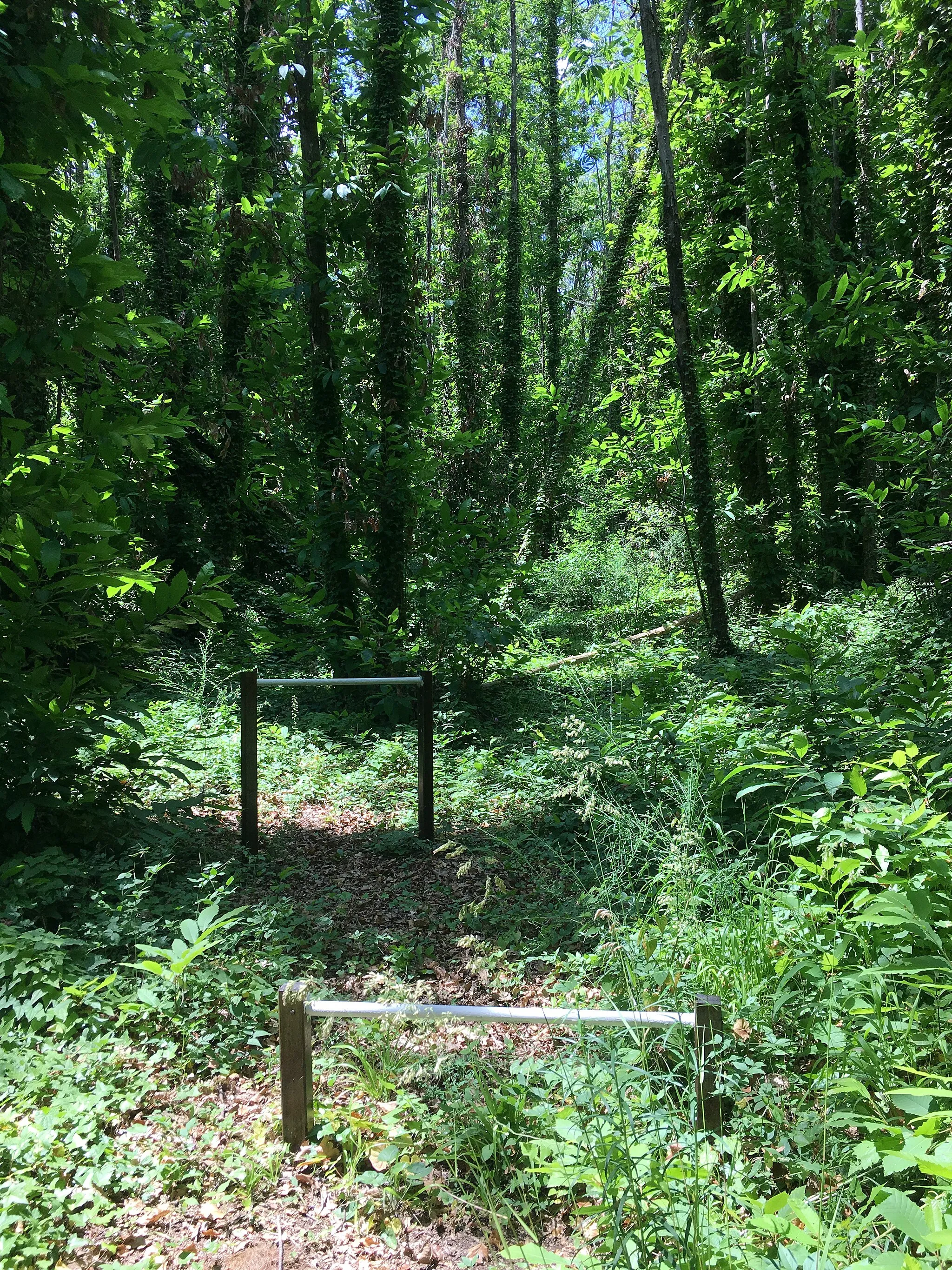 Photo showing: Parco giochi abbandonato, bosco dei Camaldoli