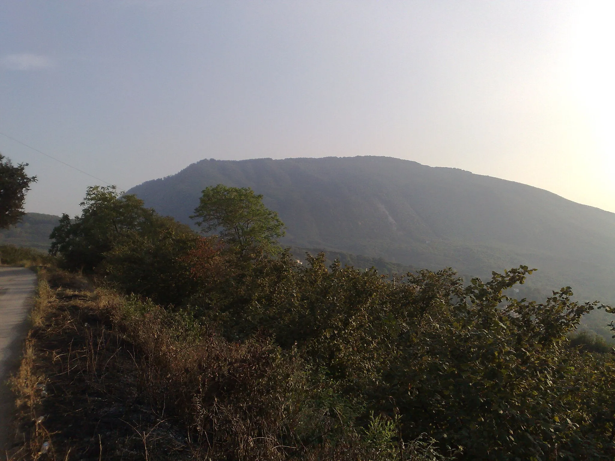 Photo showing: Il monte visto da Contrada cesine,da Est verso Ovest.