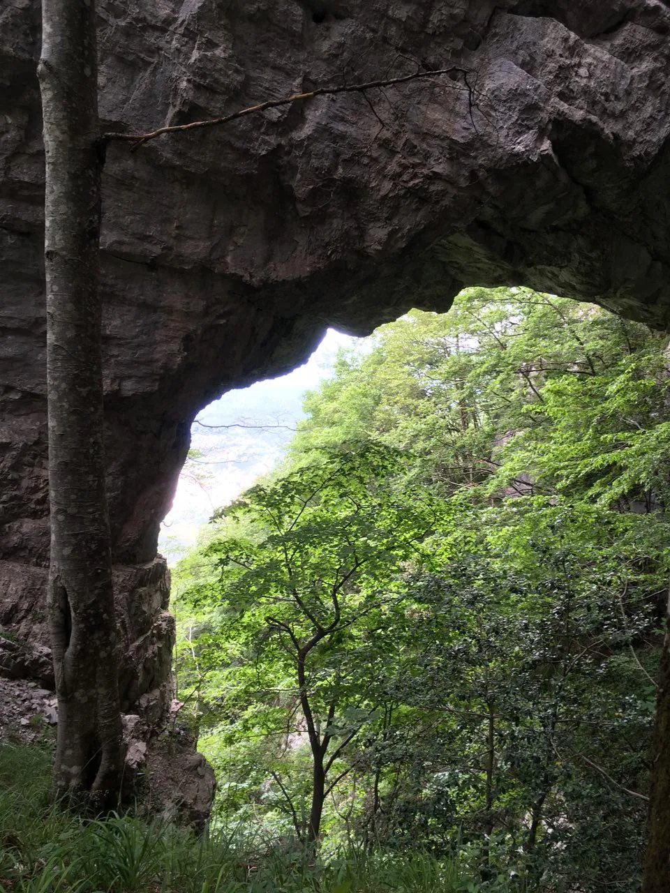 Photo showing: Arco Naturale delle Neviere