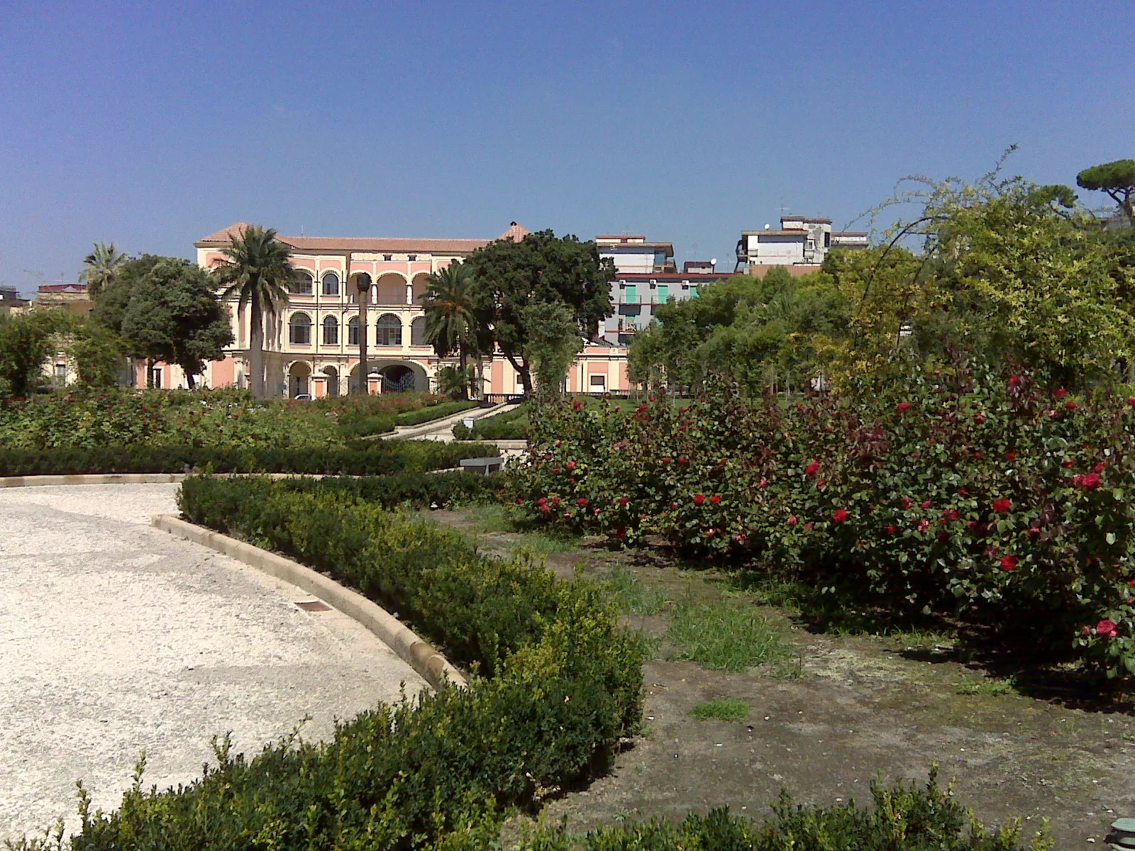 Photo showing: Parco di Villa Vannucchi