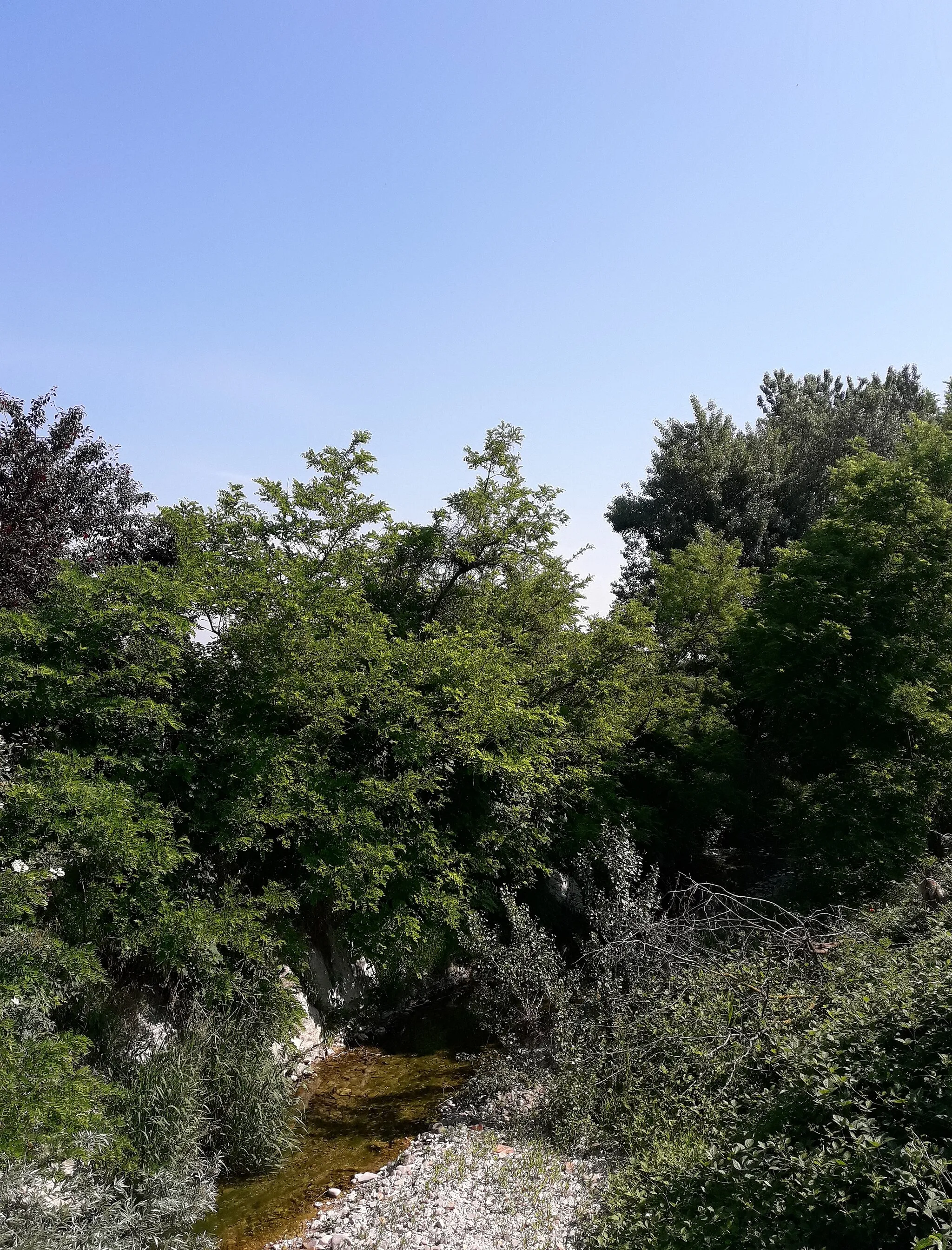 Photo showing: The river Vezzeno near Celleri, municipality of Carpaneto Piacentino, Piacenza, Italy