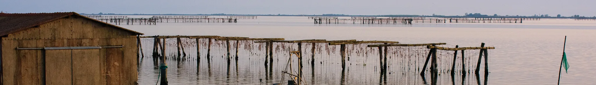 Photo showing: Scardovari's landscape (island of Donzella - Porto Tolle) – Italy.