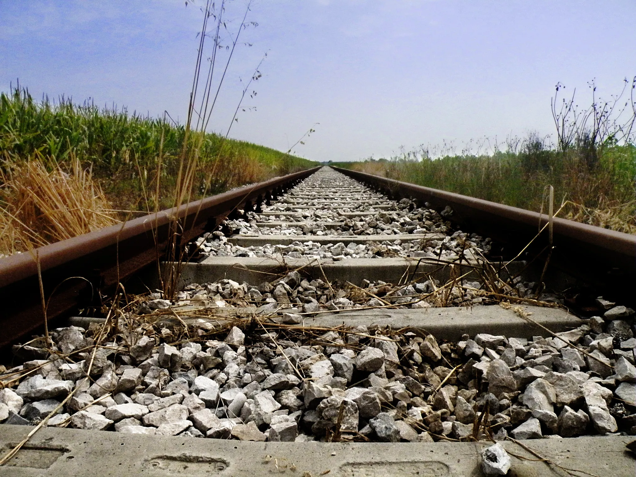 Photo showing: 500px provided description: An abandoned railway in the middle of the Po valley, in Italy.

Post-processed with GIMP. [#stones ,#train ,#railway ,#wheat ,#country ,#crops]