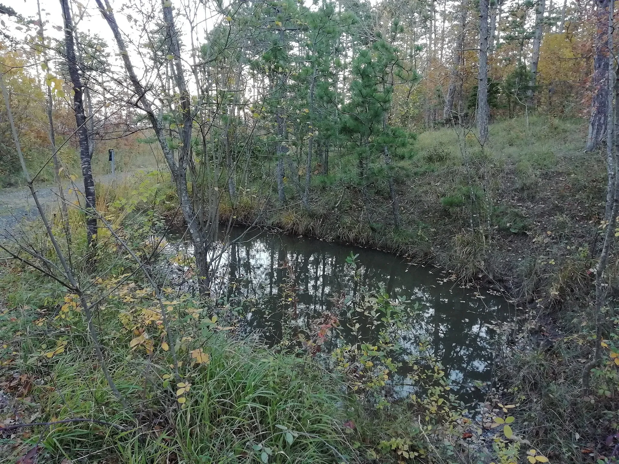 Photo showing: pozza di Cà della Selva. SIC “La Martina, Monte Gurlano”