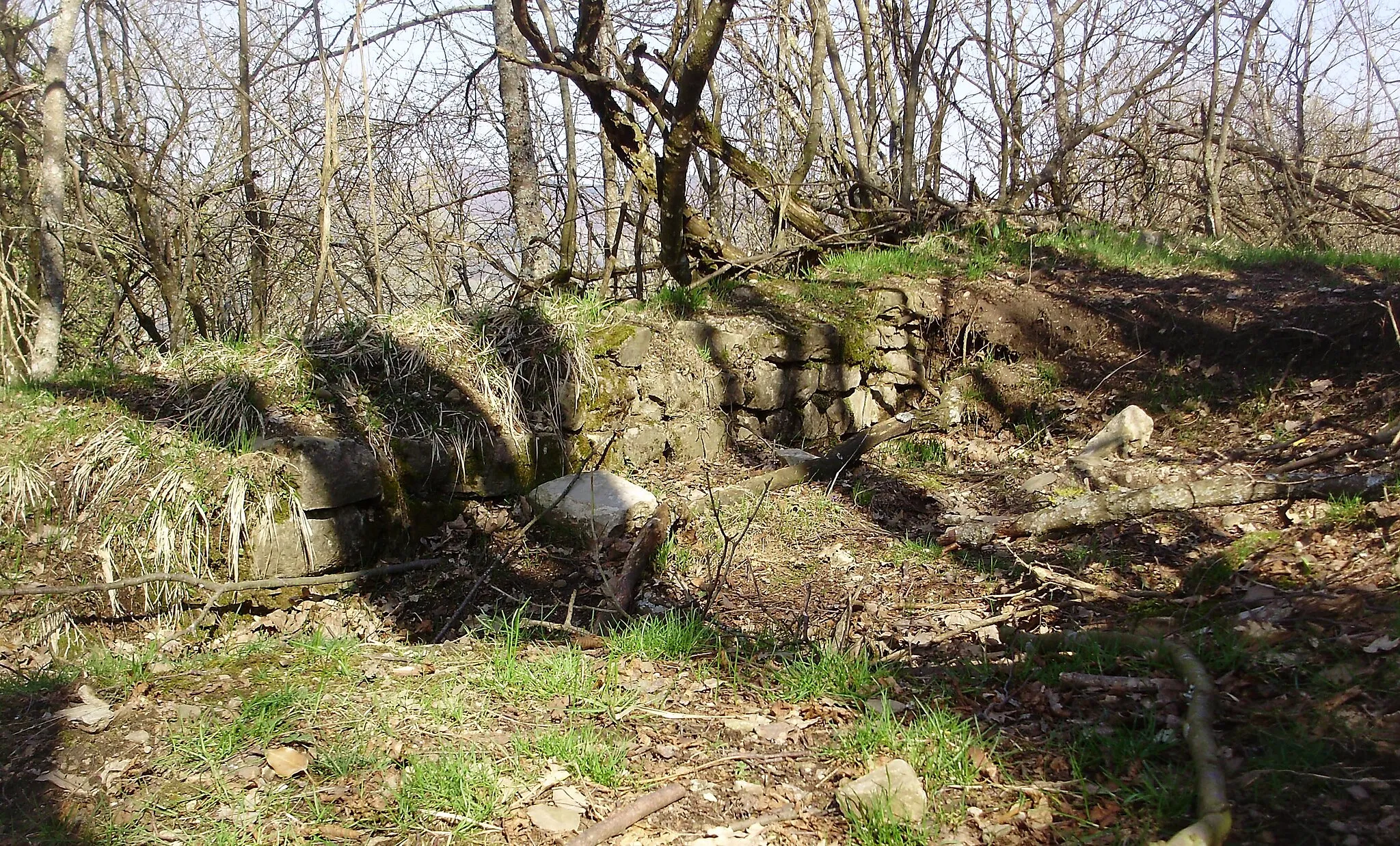 Photo showing: Resti murari dell'antico Castello