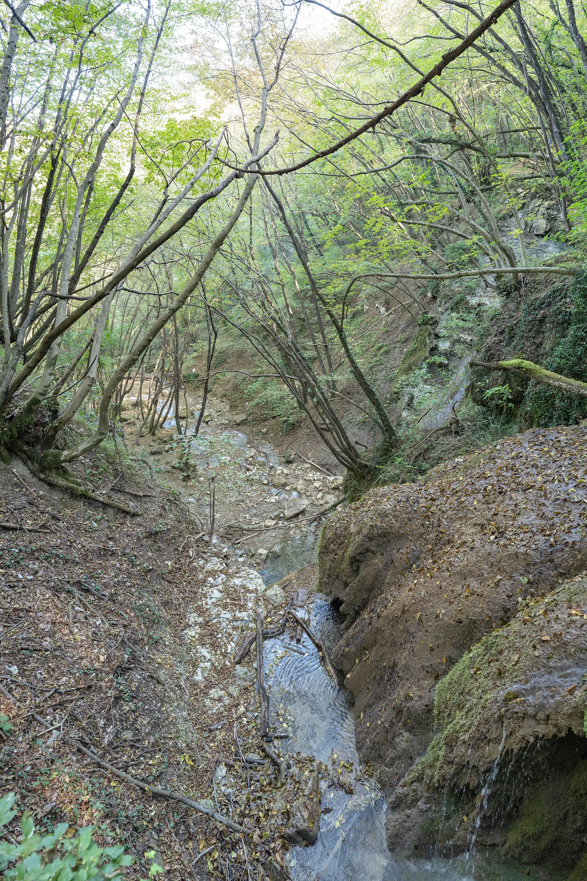 Photo showing: Torrente Bucamante - Serramazzoni, Modena, Italia