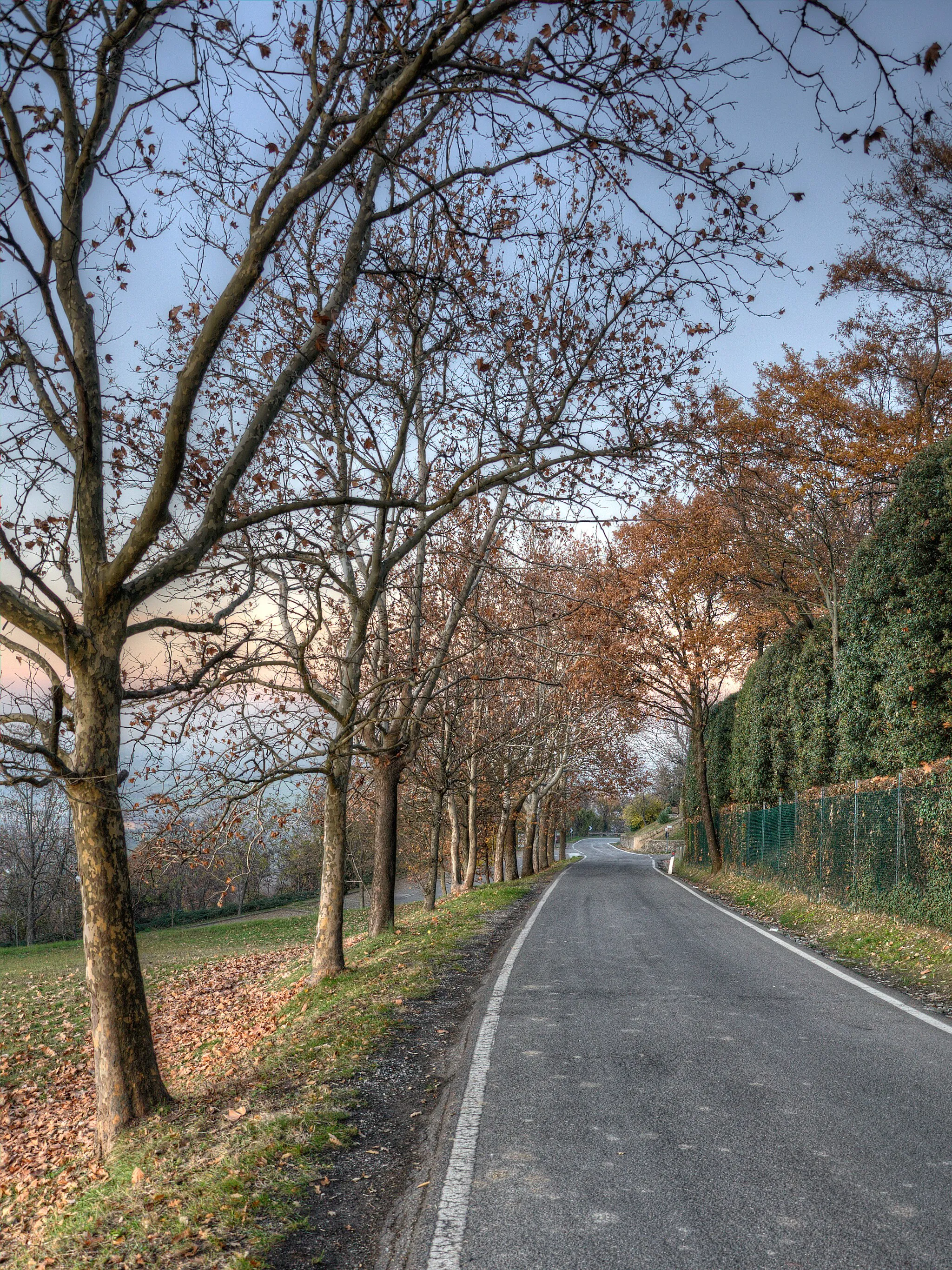 Photo showing: Via Monsignor Leone Tondelli - Albinea (RE) Italia - 7 Dicembre 2011