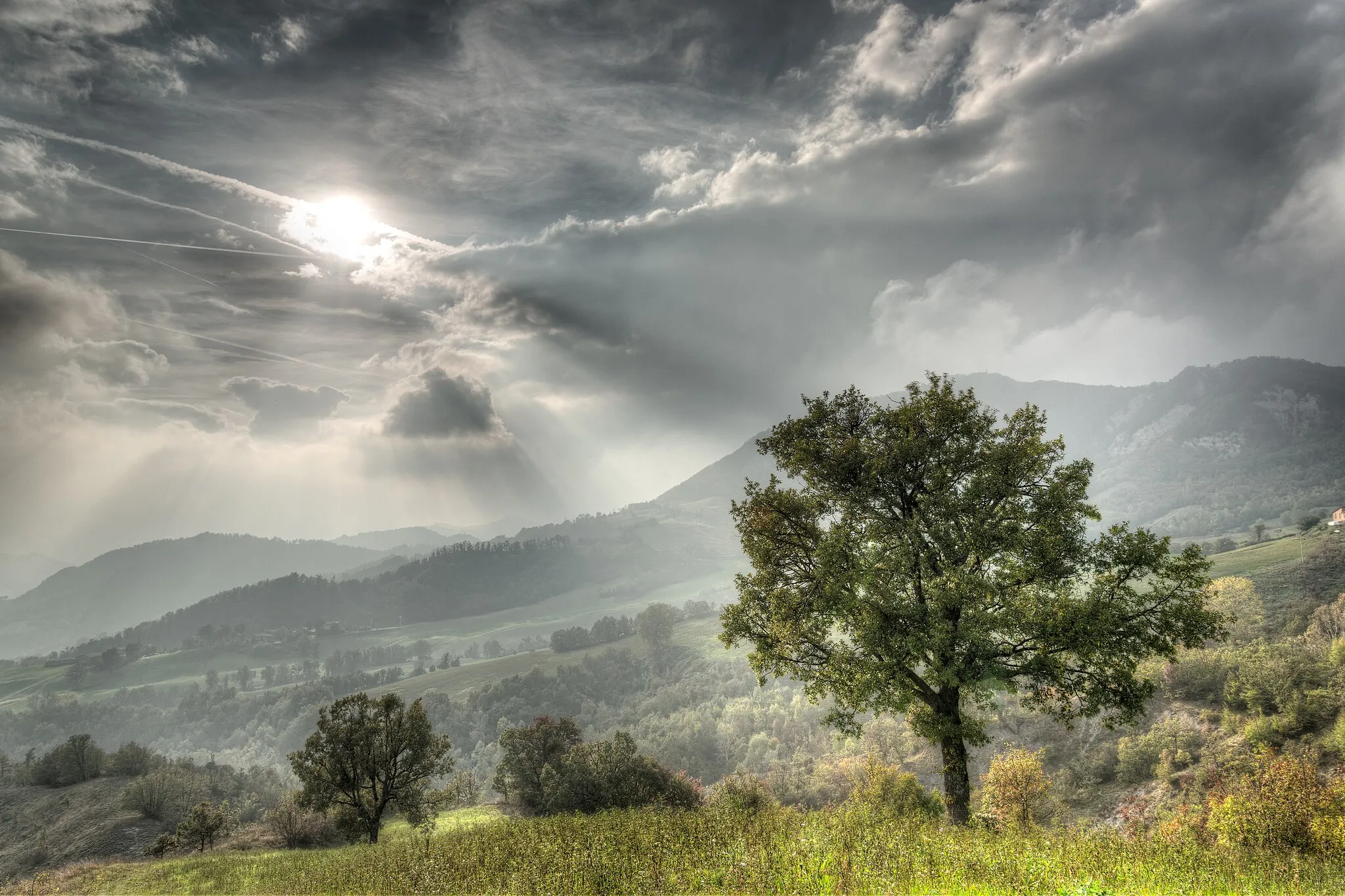 Photo showing: Lonely Tree - Carpineti, Reggio Emilia, Italy