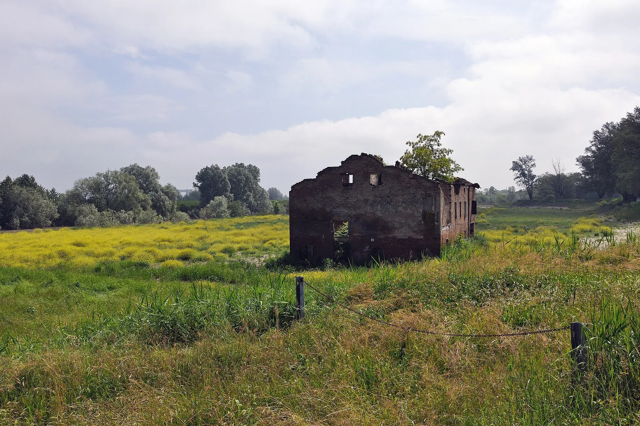 Photo showing: Near Sozzigalli (MO) Italy - May 12, 2010