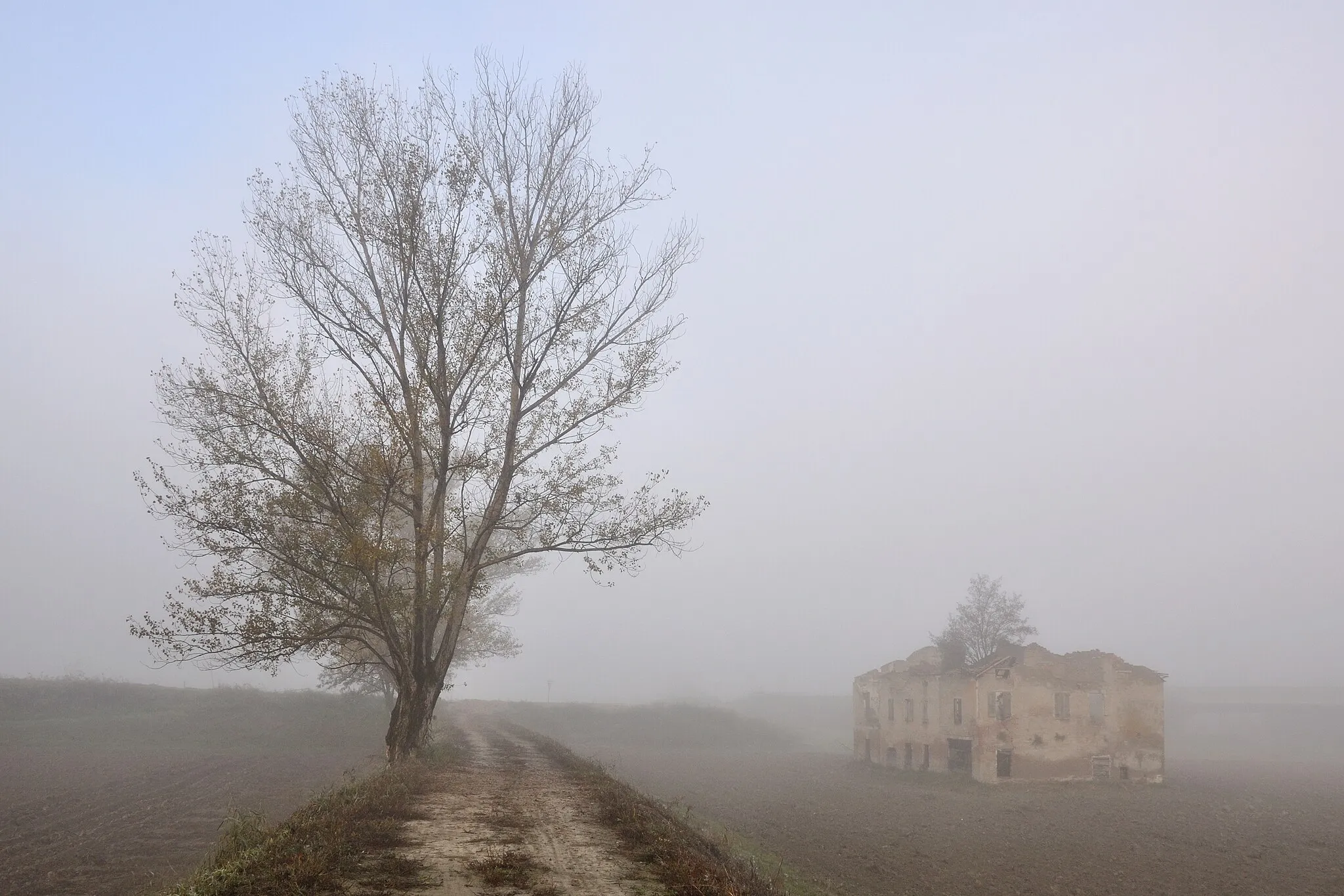 Photo showing: Padanian Morning - Sozzigalli (MO) Italy - November 18, 2011