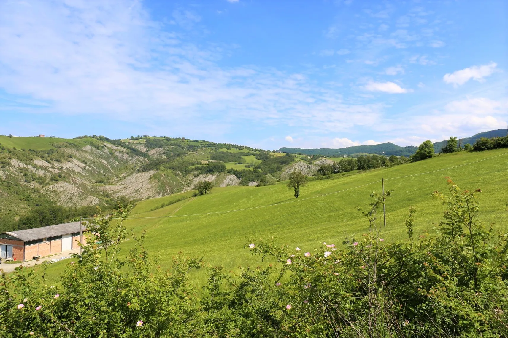 Photo showing: Colline e Calanchi di Pigneto