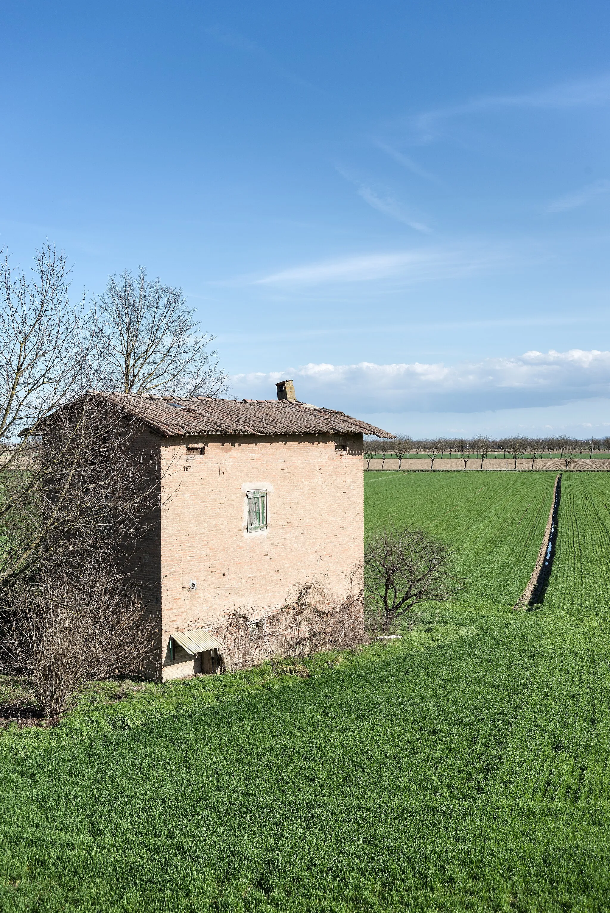 Photo showing: Near Caselle - Crevalcore (BO) Italy - March 19, 2013