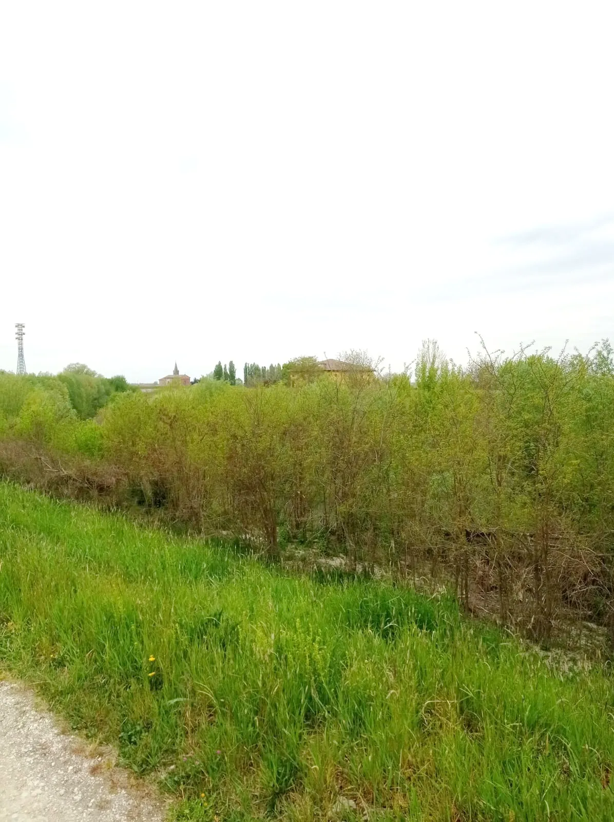 Photo showing: Cadecoppi dall'argine della sponda opposta del Panaro