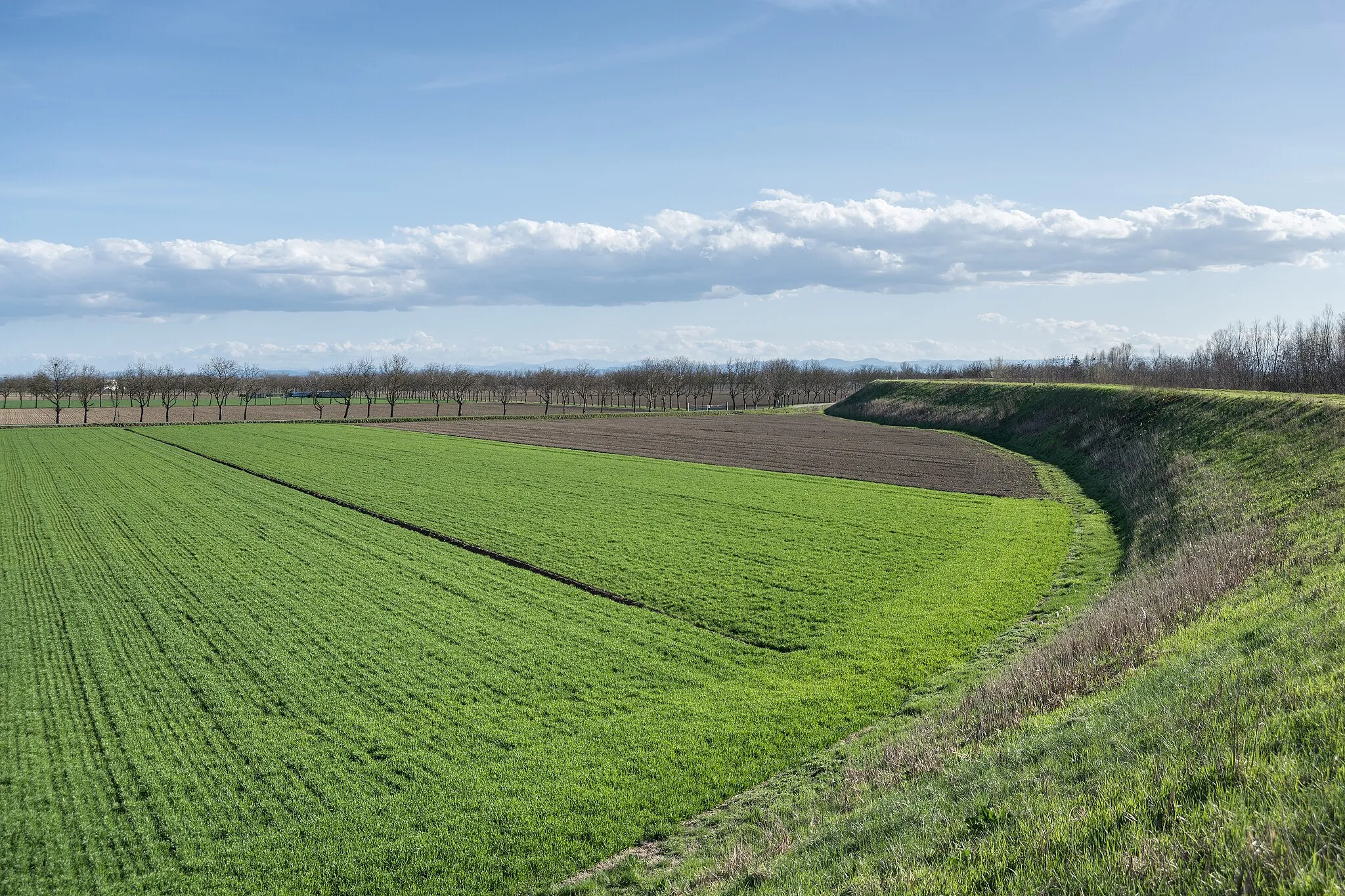 Photo showing: View from the Levee - Near Caselle, Crevalcore (BO) Italy - March 19, 2013