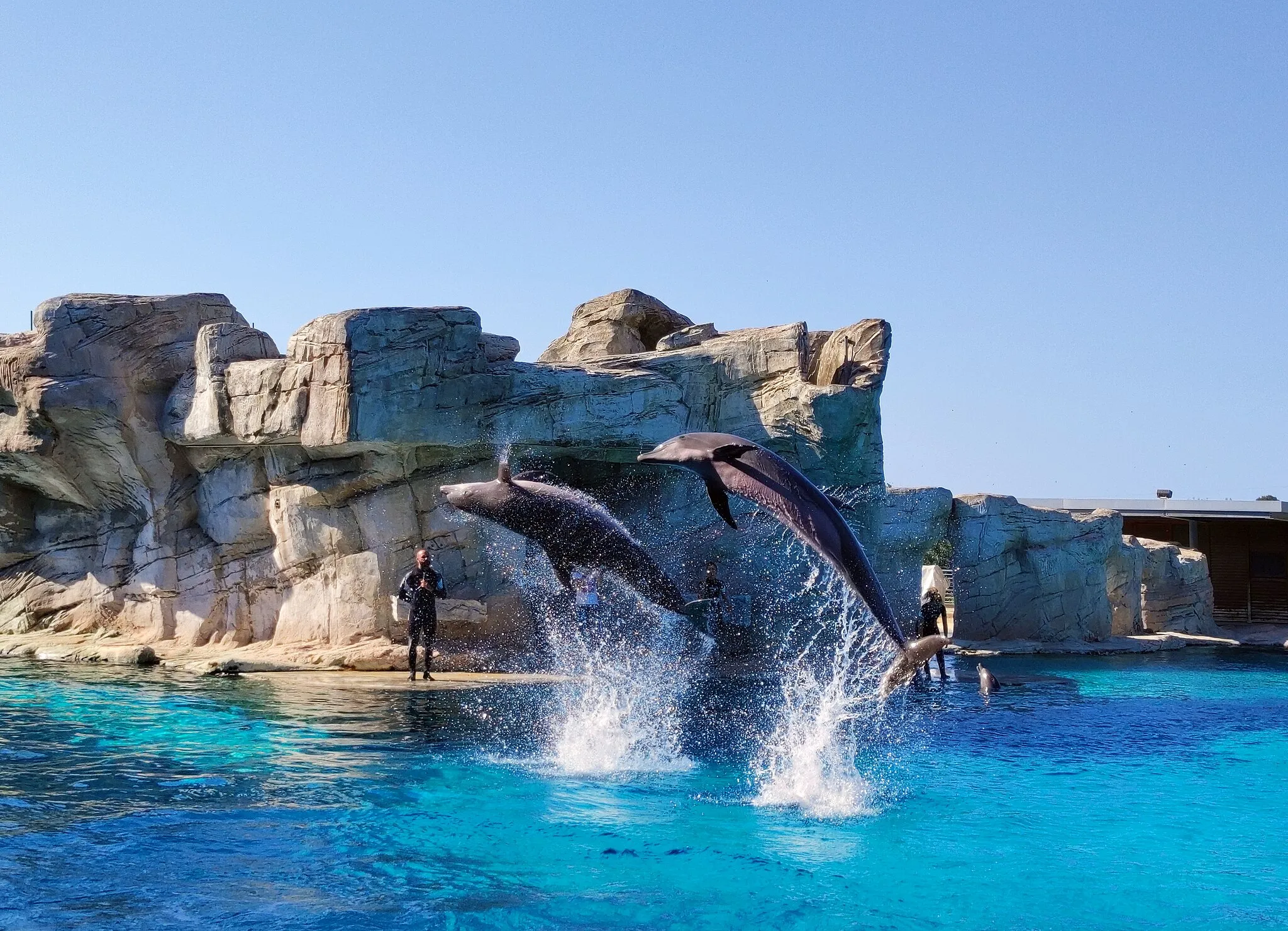 Photo showing: Dolphinarium at Oltremare - Riccione (Naturalistic-technological theme park)