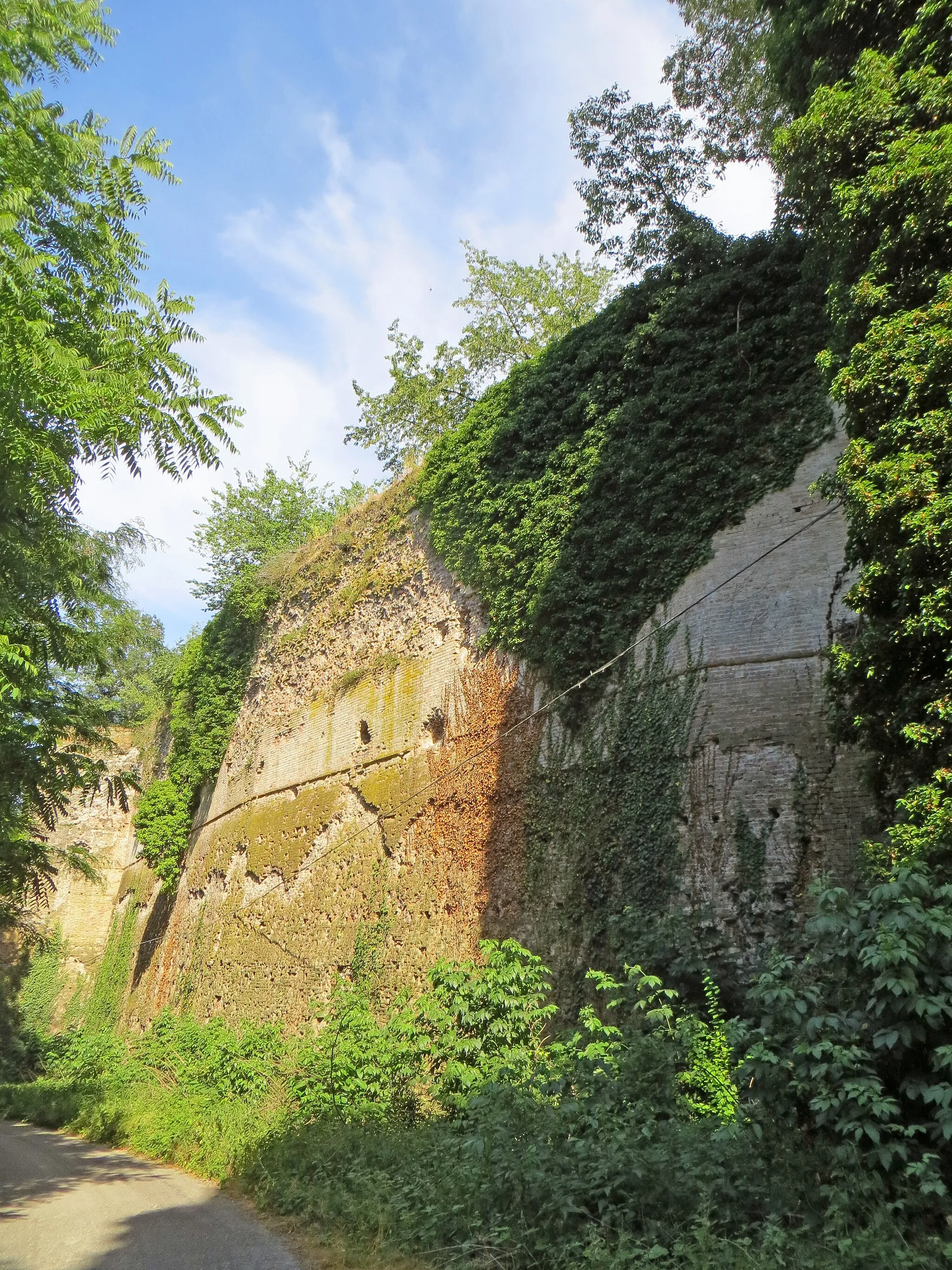 Photo showing: Castello (Montechiarugolo) - mura esterne nord-ovest