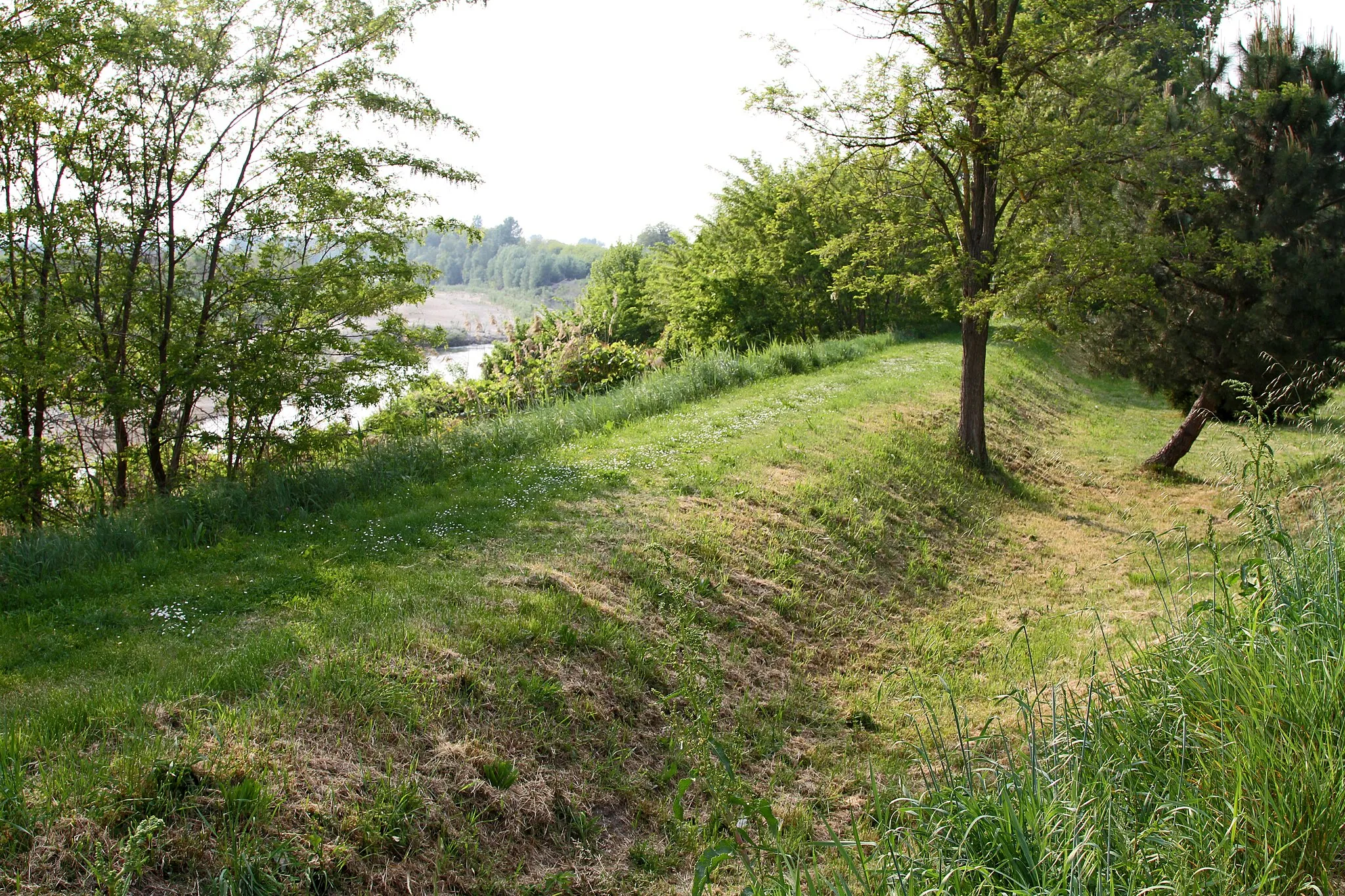 Photo showing: Fiume Reno dall'argine di Malacappa