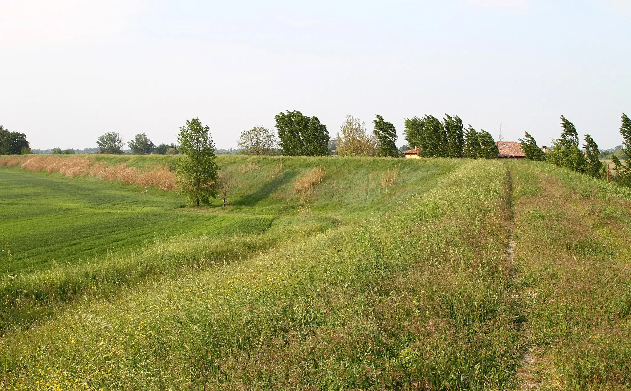 Photo showing: Argine nei pressi di Malacappa