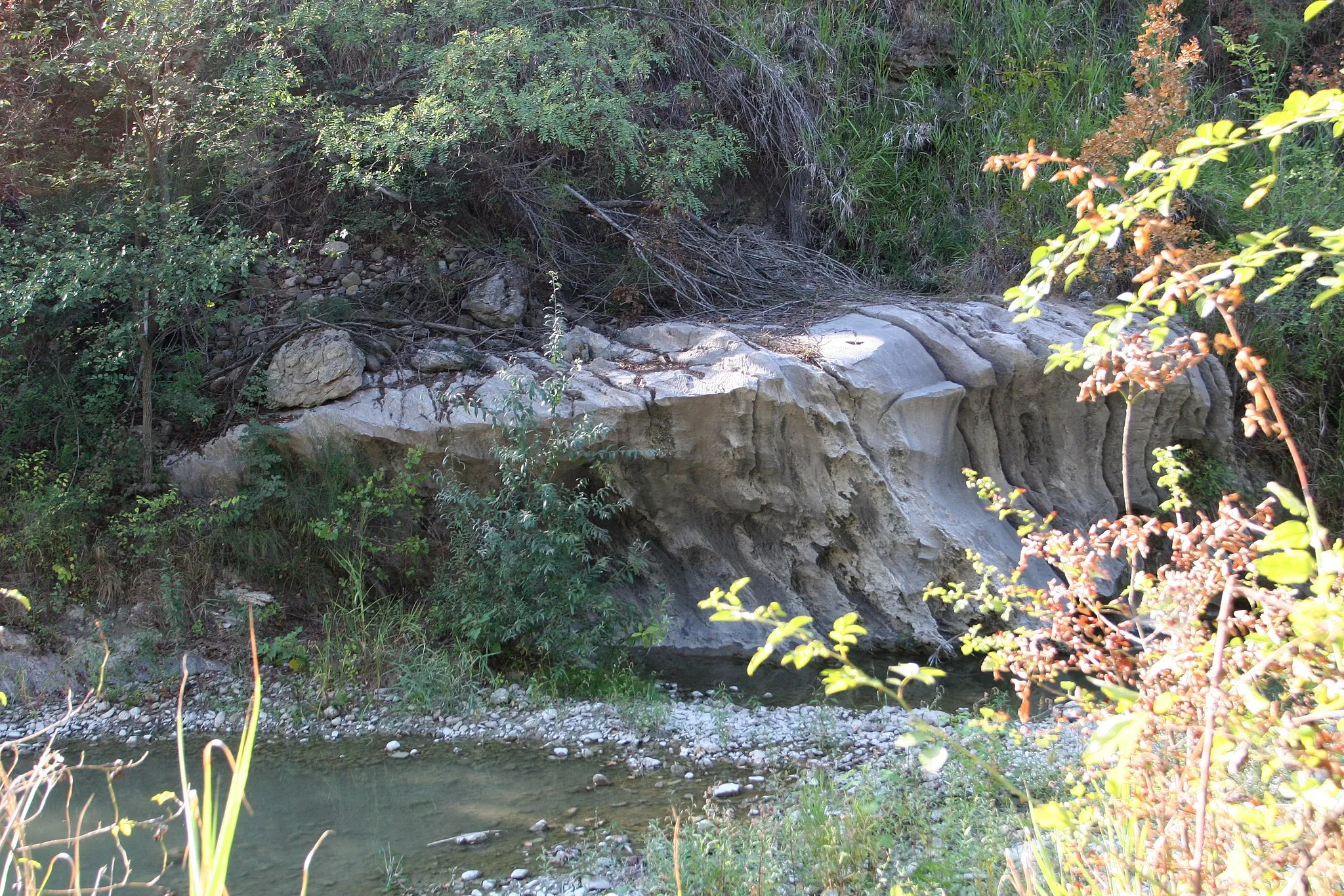 Photo showing: The authorisation for taking photos of this object was provided by the World Wide Fund for Nature Italy.