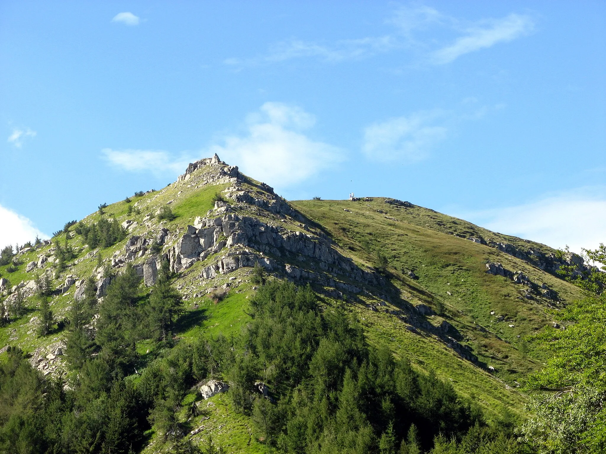 Photo showing: Monte Cimone, Appennini, Italy. La cresta di gallo d'estate.
