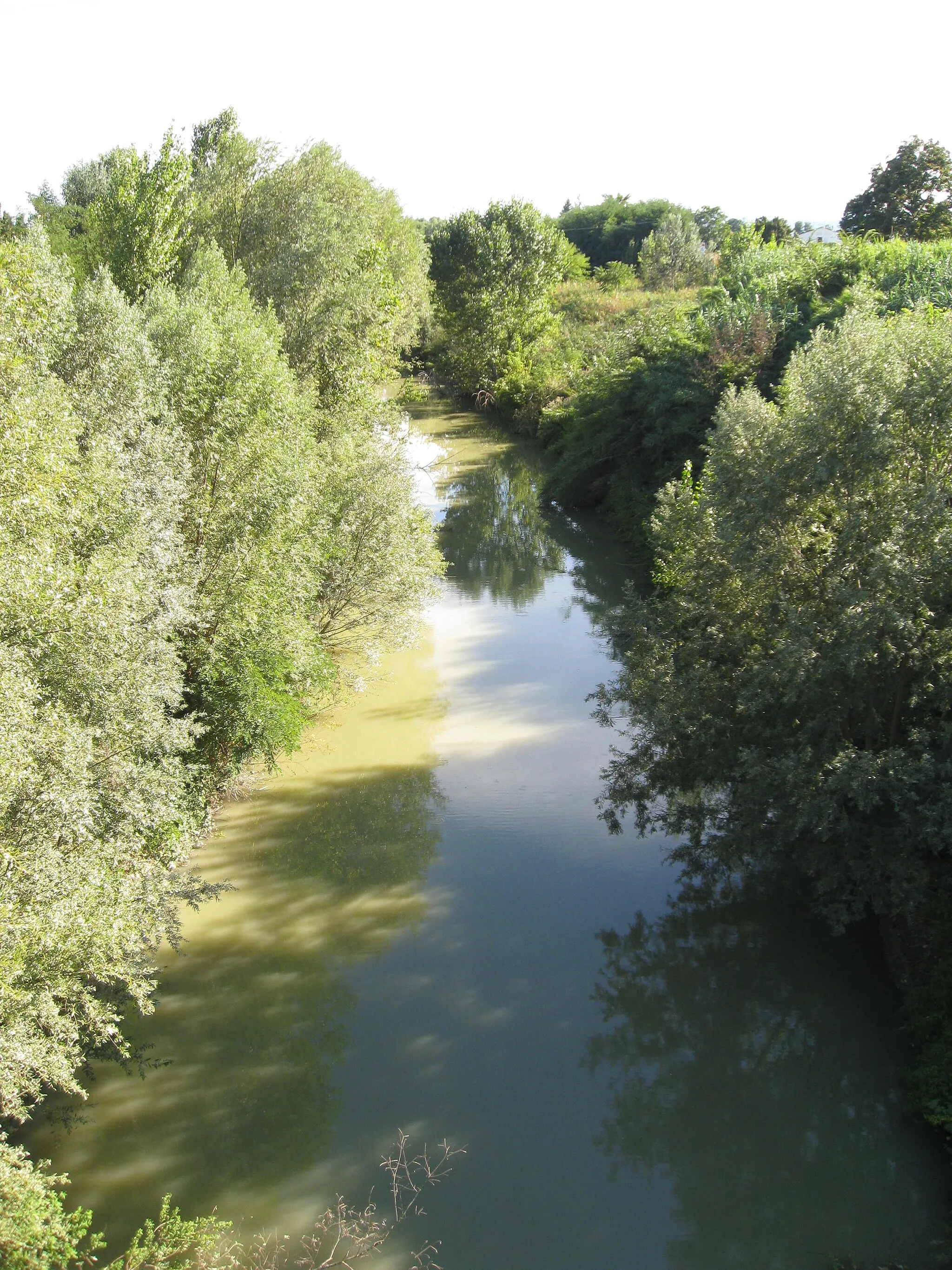 Photo showing: perkele, il fiume ronco dopo aver passato Forlì