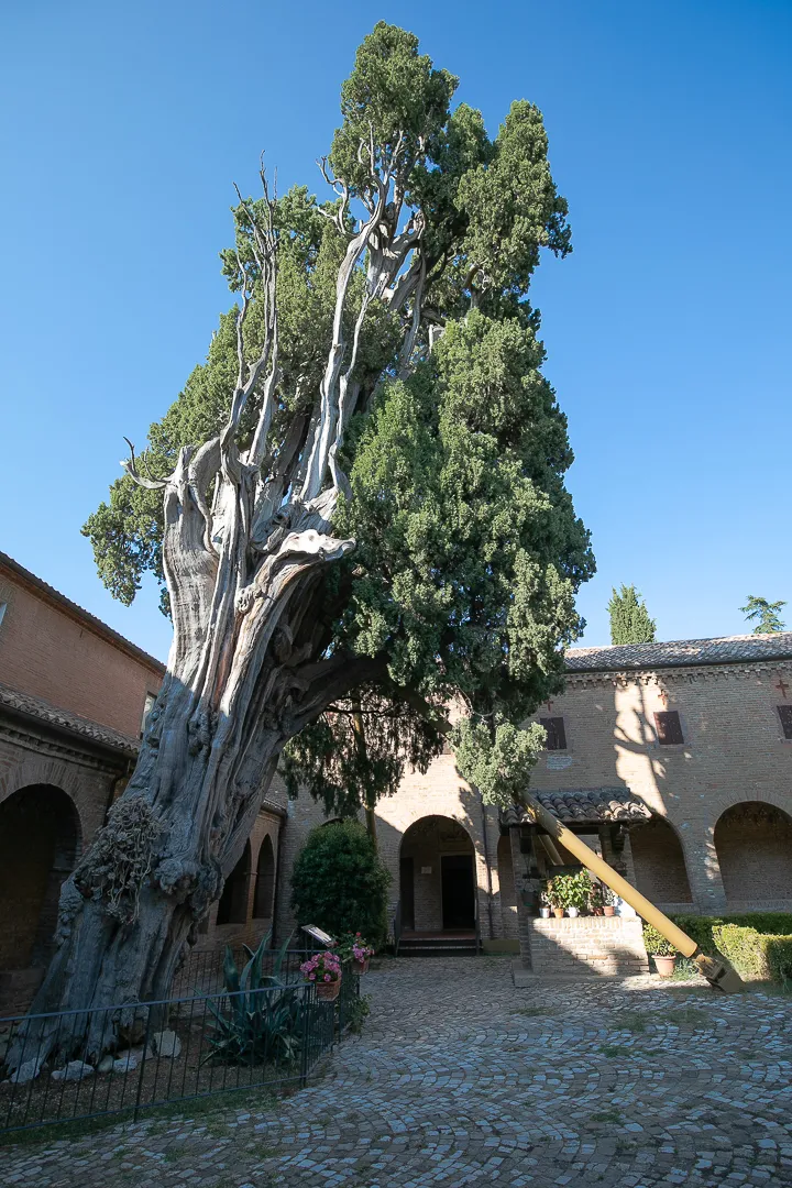 Photo showing: This is a photo of a monument which is part of cultural heritage of Italy. This monument participates in the contest Wiki Loves Monuments Italia 2018. See authorisations.