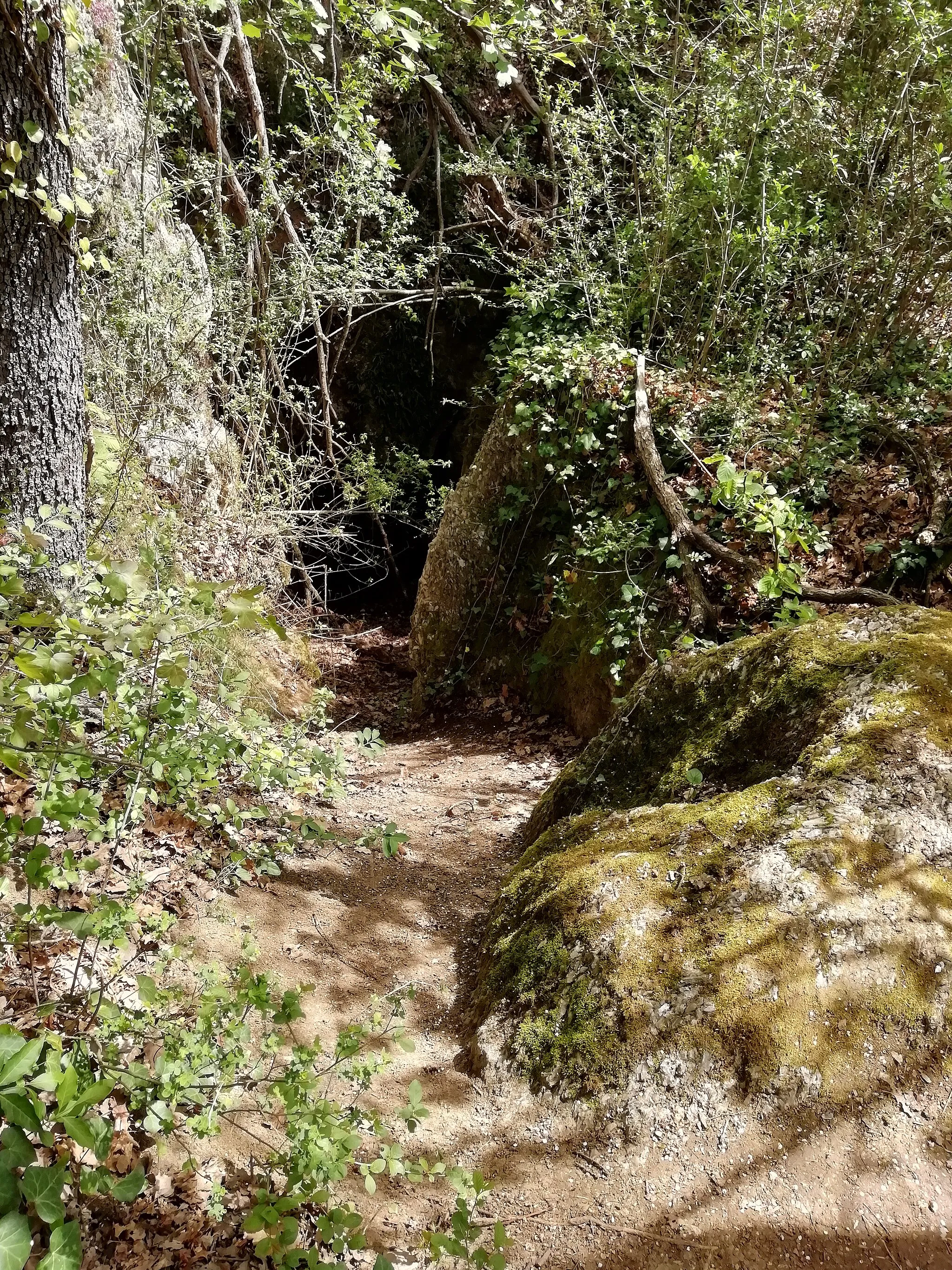 Photo showing: Buco del Calzolaio, inghiottitoio che era un tempo l'ingresso naturale della Grotta della Spipola. sentiero dei Gessi della Croara, Parco regionale dei Gessi Bolognesi e Calanchi dell'Abbadessa.