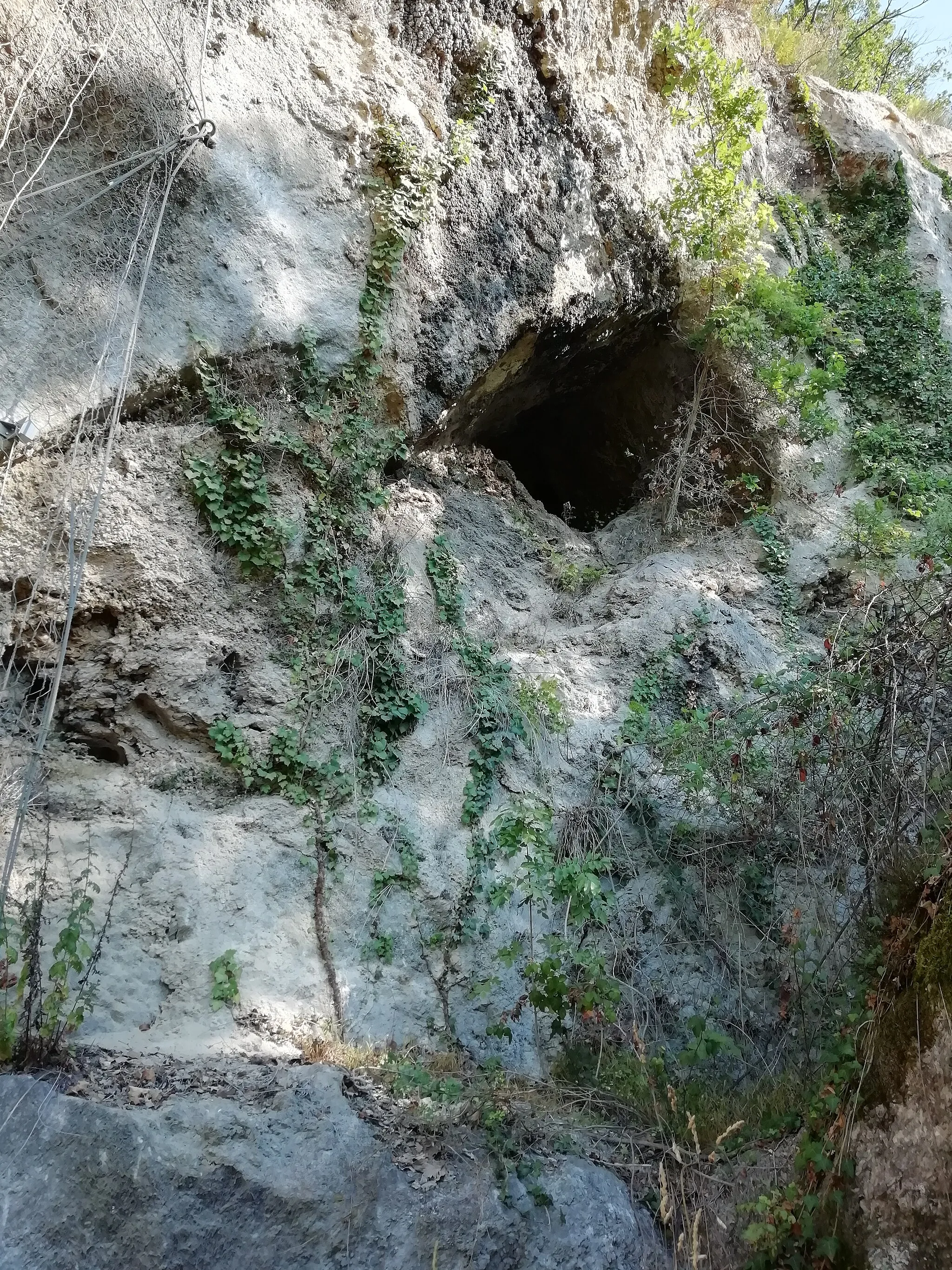 Photo showing: ingresso della Grotta del Farneto