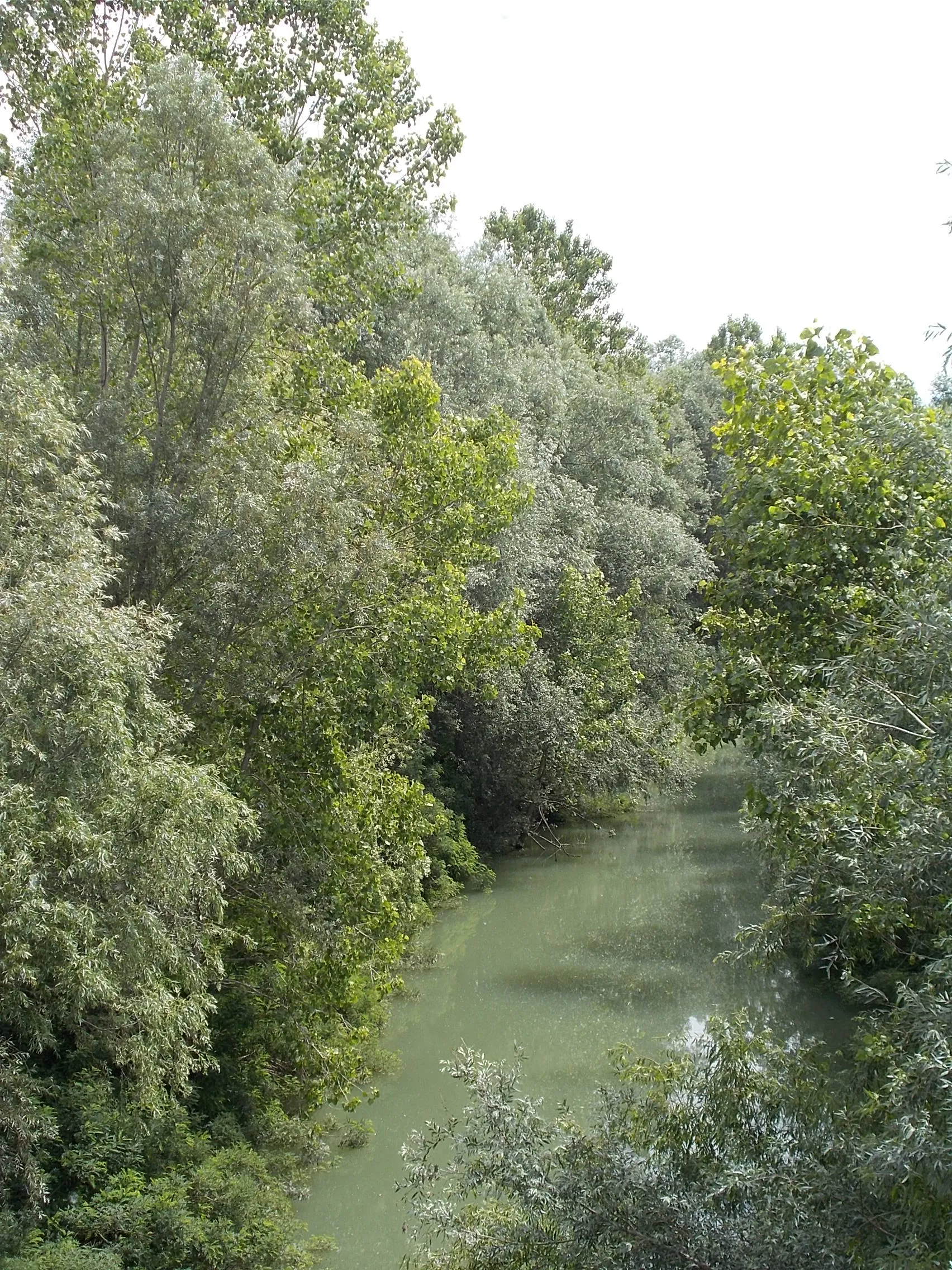 Photo showing: Sorbolo Mezzani - az Enza-folyó Coenzónál, Brescello (RE) és Sorbolo Mezzani (PR) községek határán