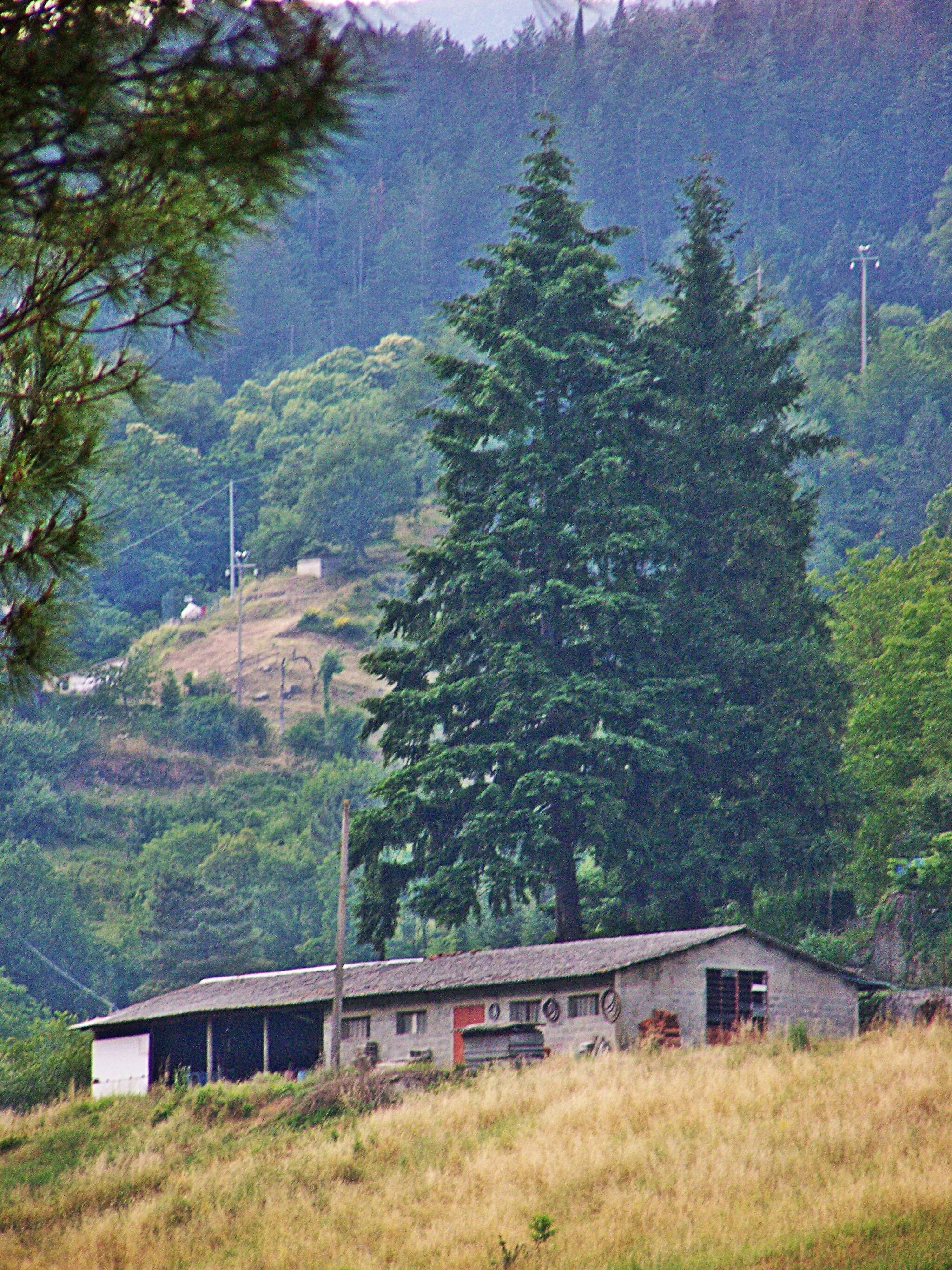 Photo showing: barn