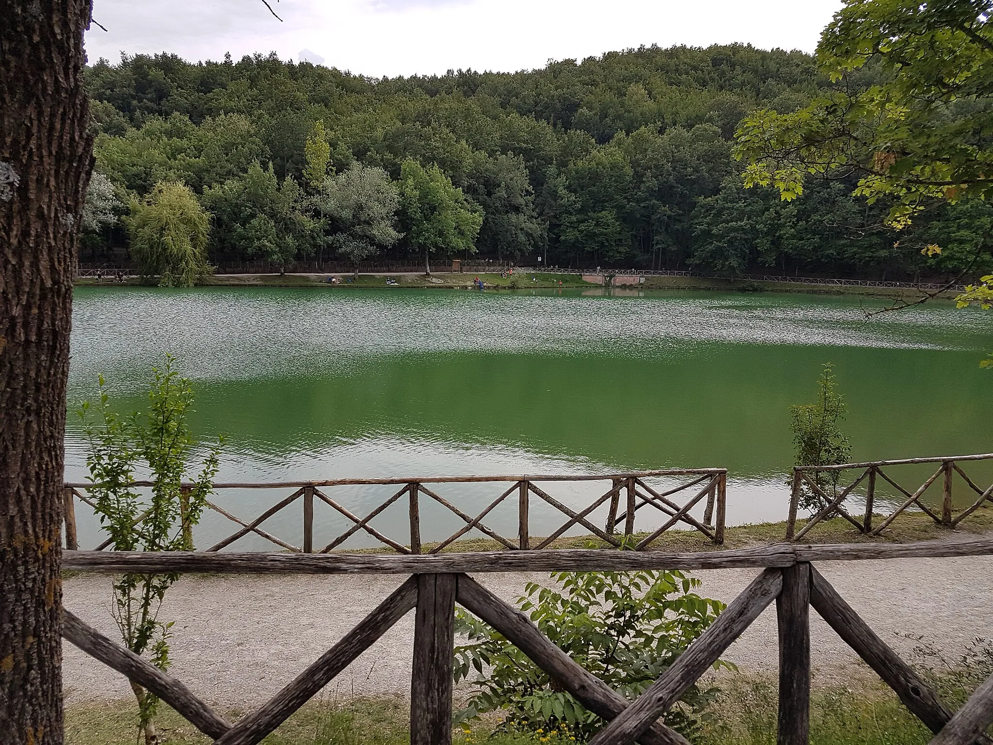 Photo showing: Lago Andreuccio o Lago di Soanne, Pennabilli (RN)