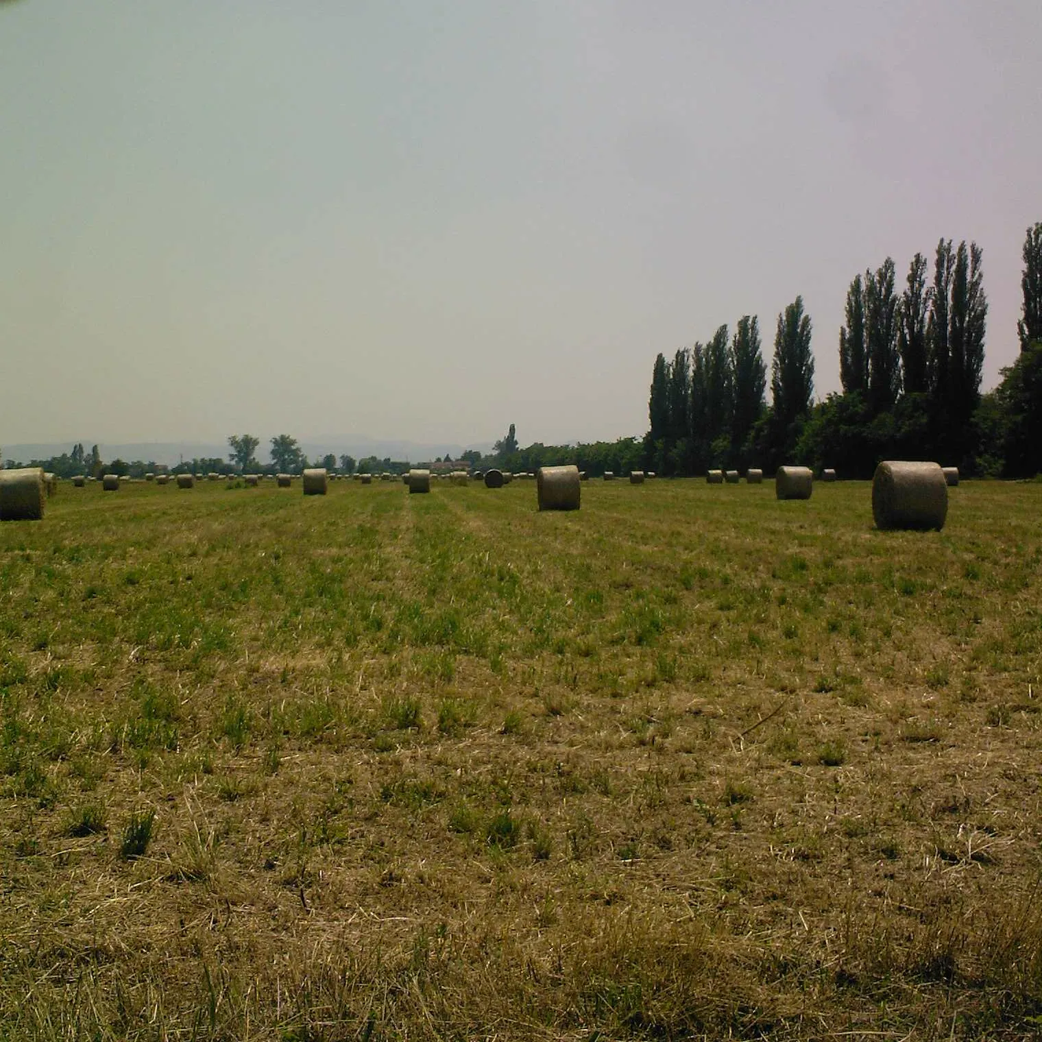 Photo showing: The view of fields in Aiola