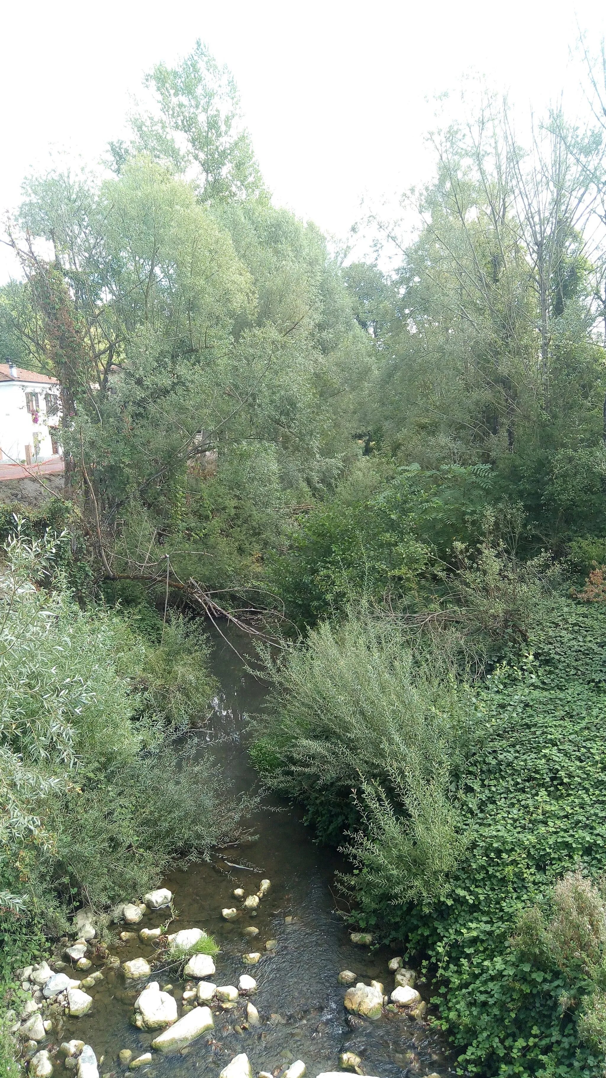 Photo showing: Pelpirana creek