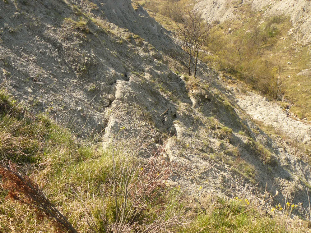 Photo showing: Fratture distensive al margine dell'area sprofondata, foto 2015