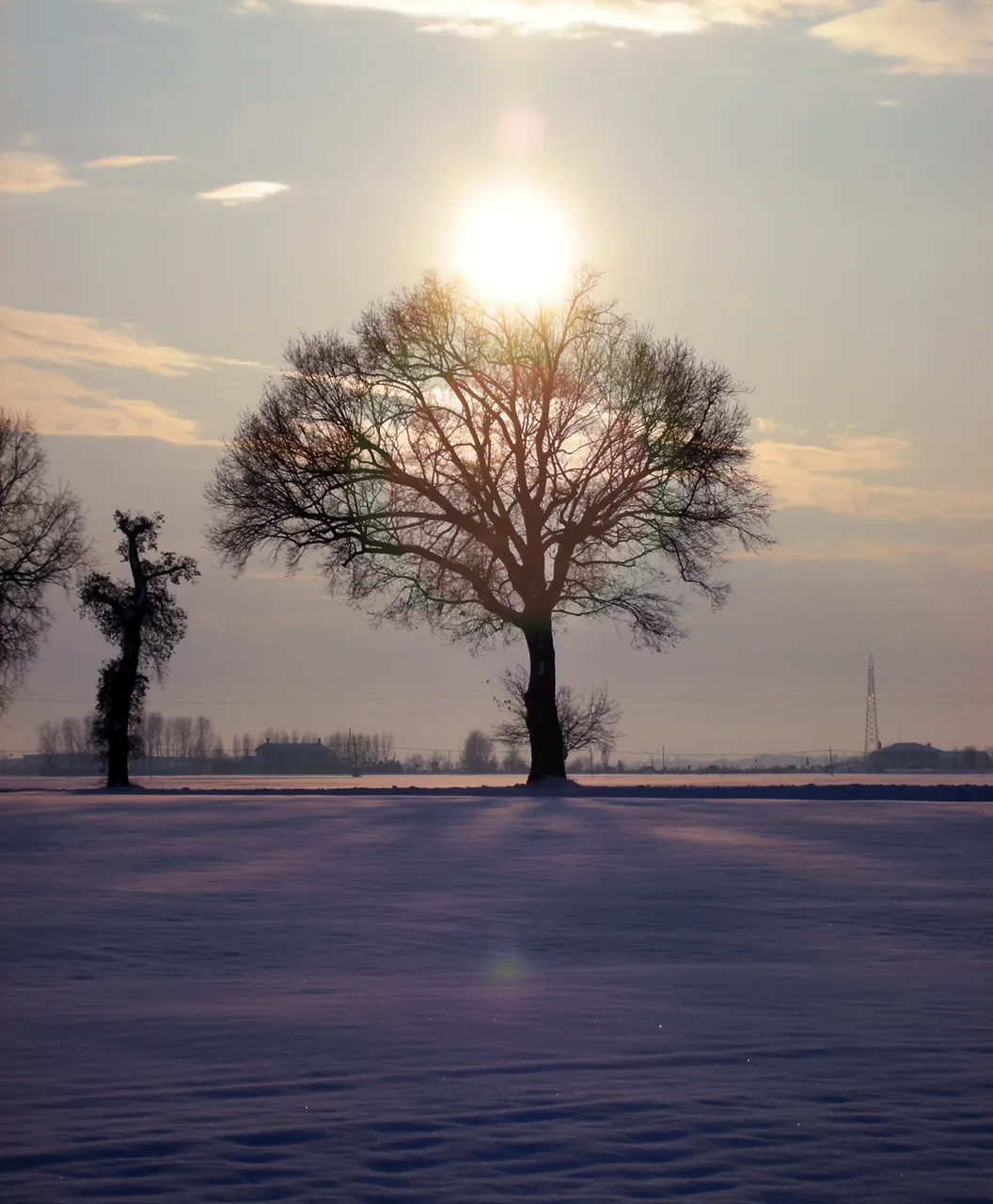 Photo showing: Padulle, neve sui campi