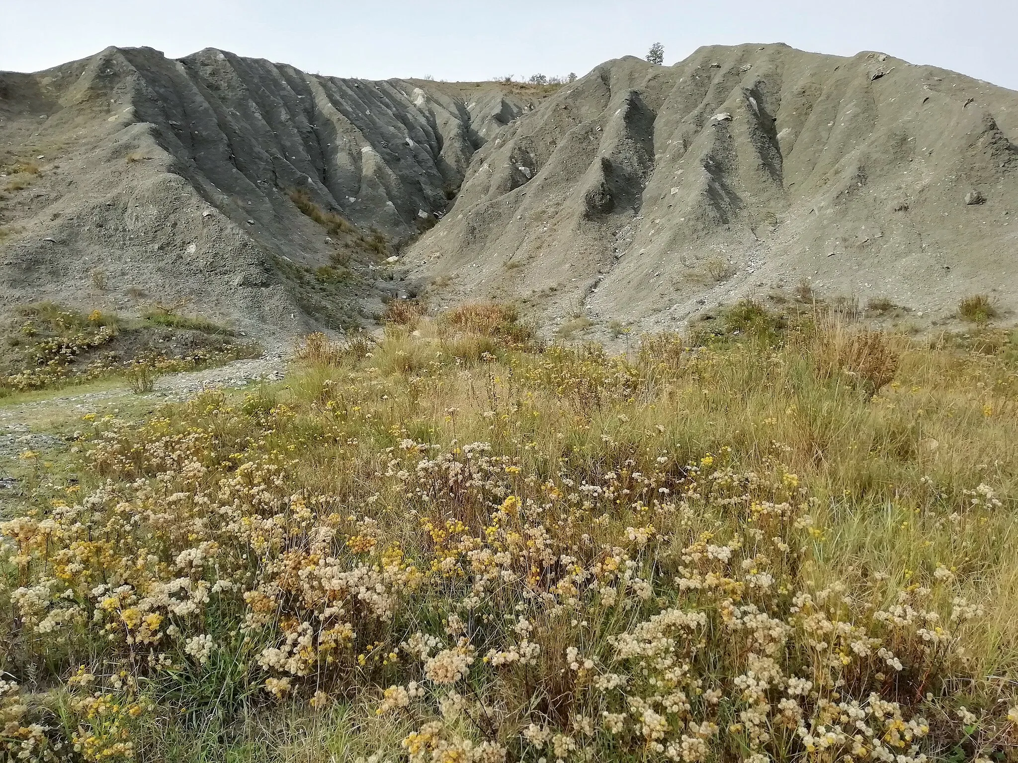 Photo showing: Calanchi di Sant'Andrea