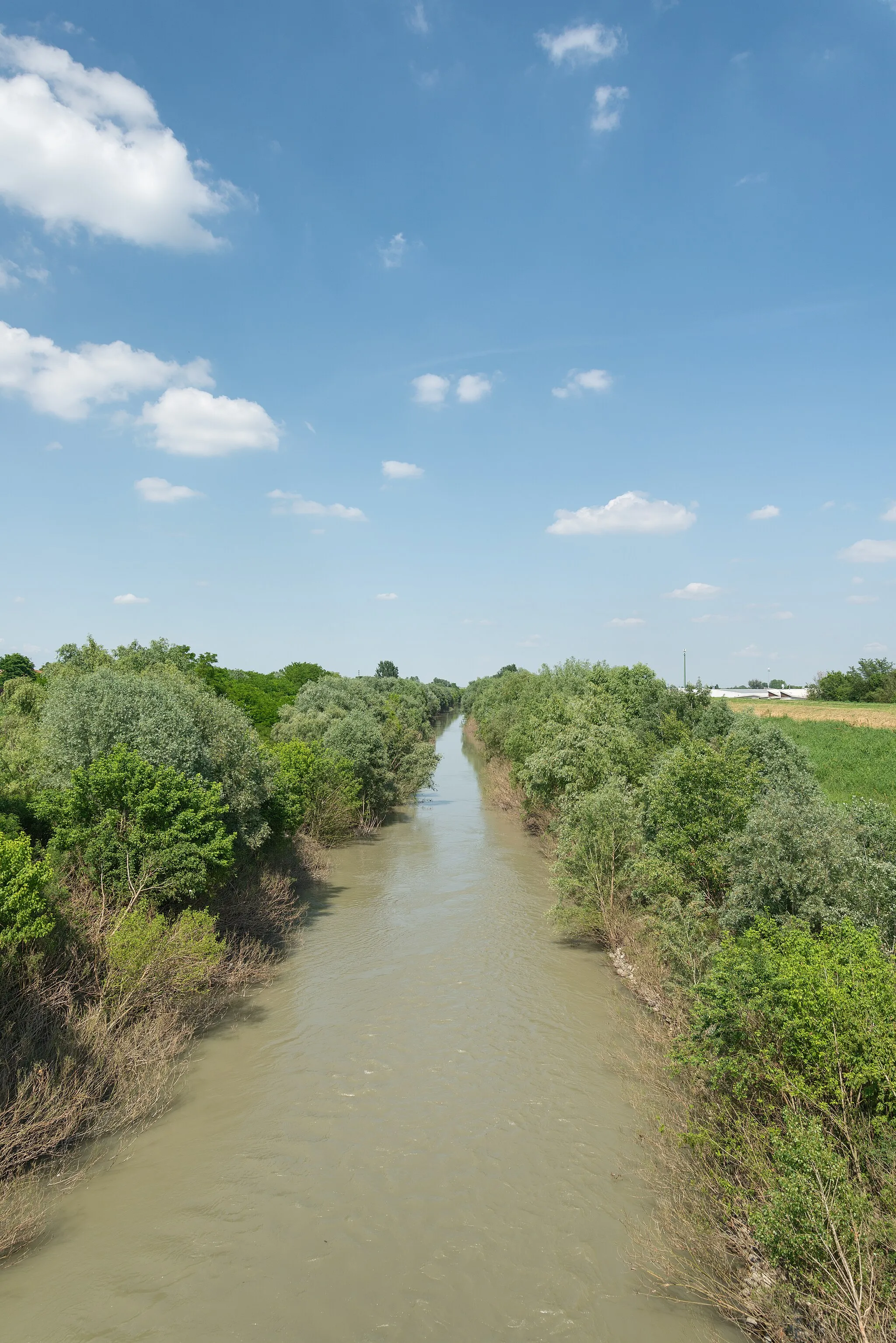 Photo showing: Fiume Panaro - Finale Emilia, Modena, Italia