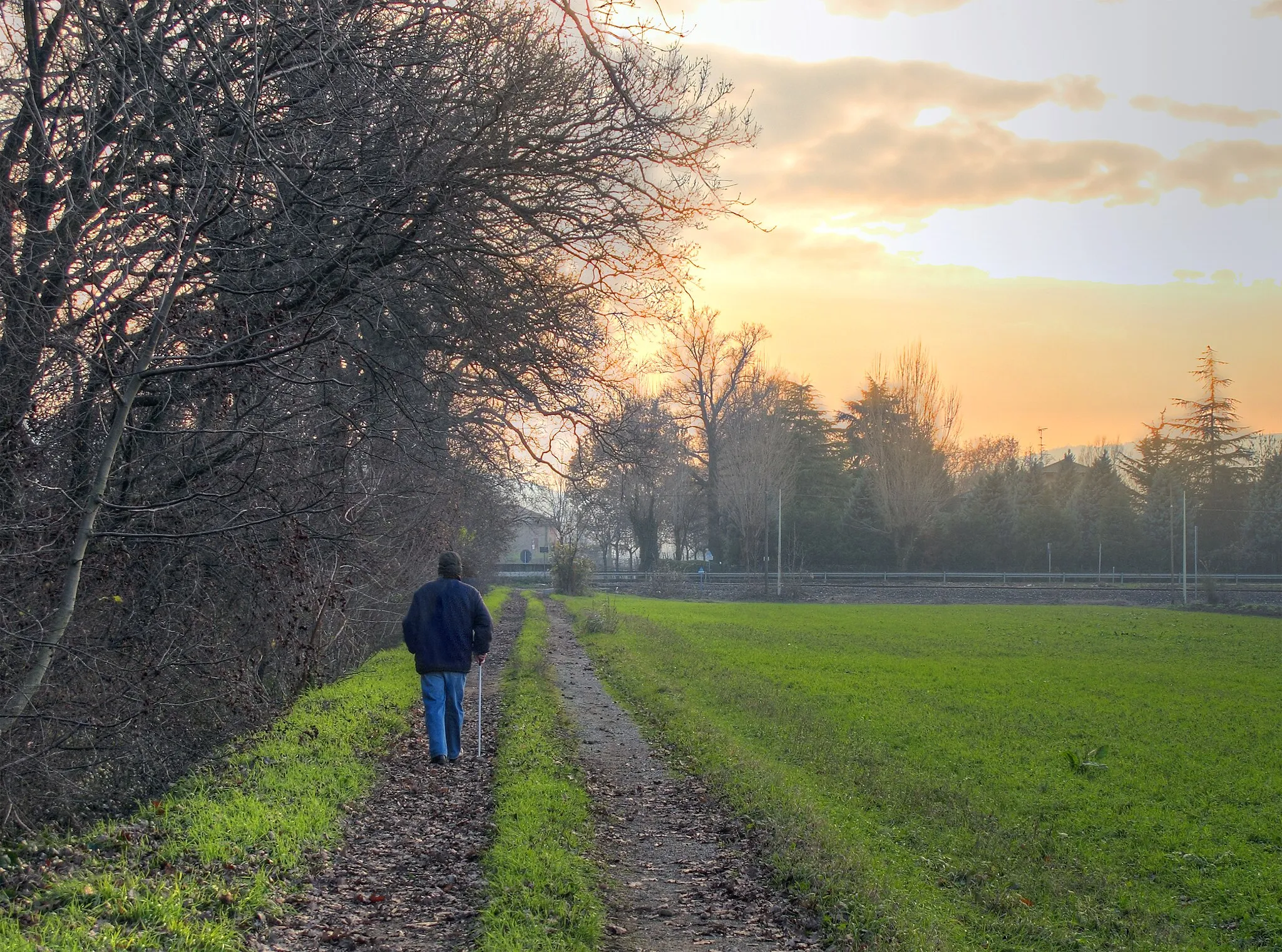 Photo showing: Fellegara - Scandiano (RE) Italy - December 12, 2010