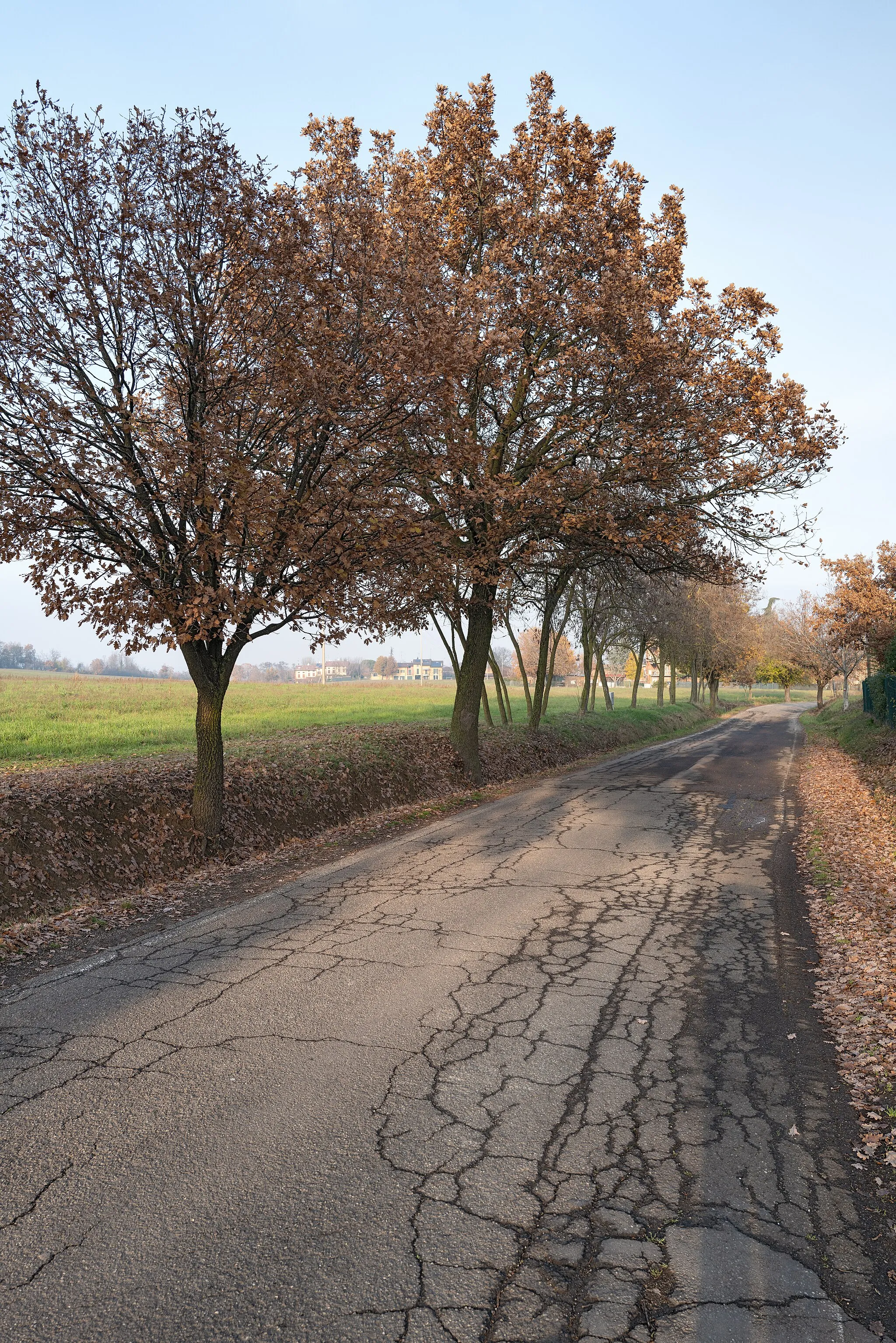 Photo showing: Via Chierici - Borzano, Albinea, Reggio Emilia, Italia