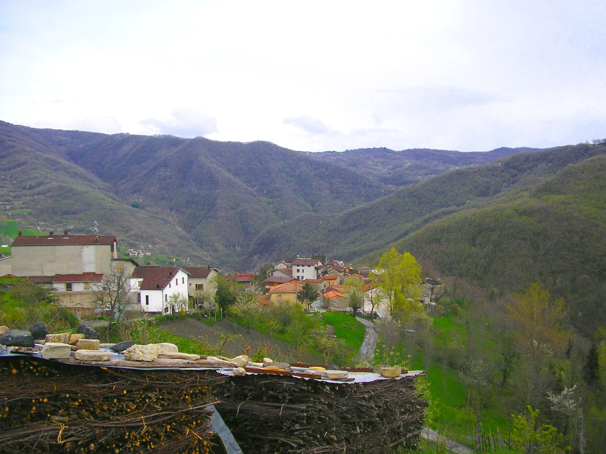 Photo showing: Aglio in Valperino