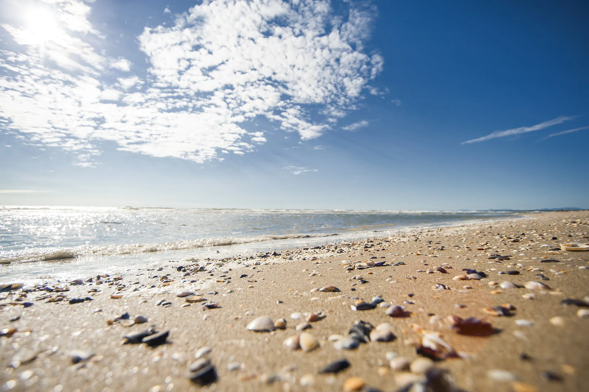 Photo showing: Spiaggia a Marina di Ravenna.