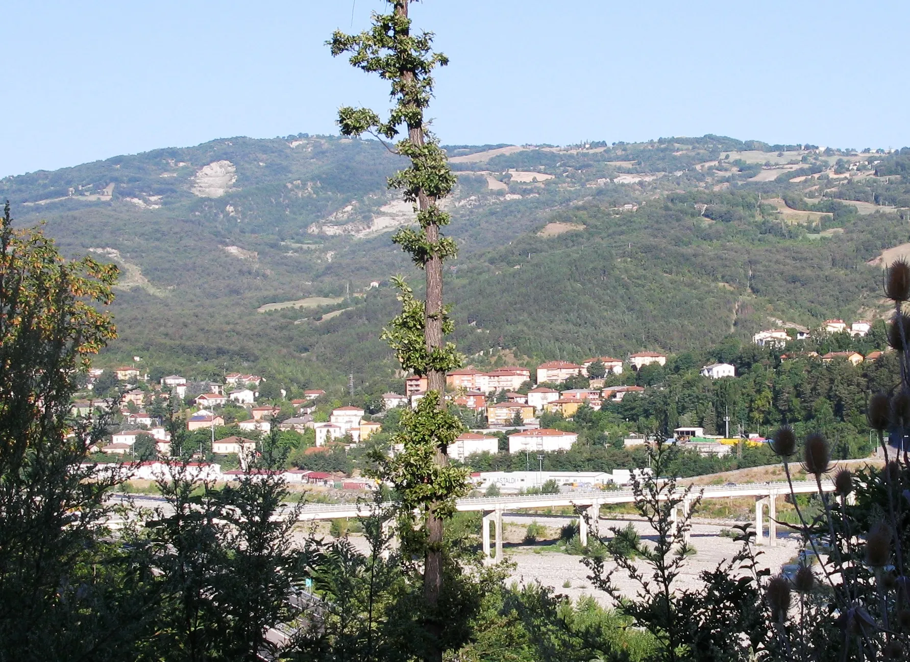 Photo showing: Panorama di Solignano.