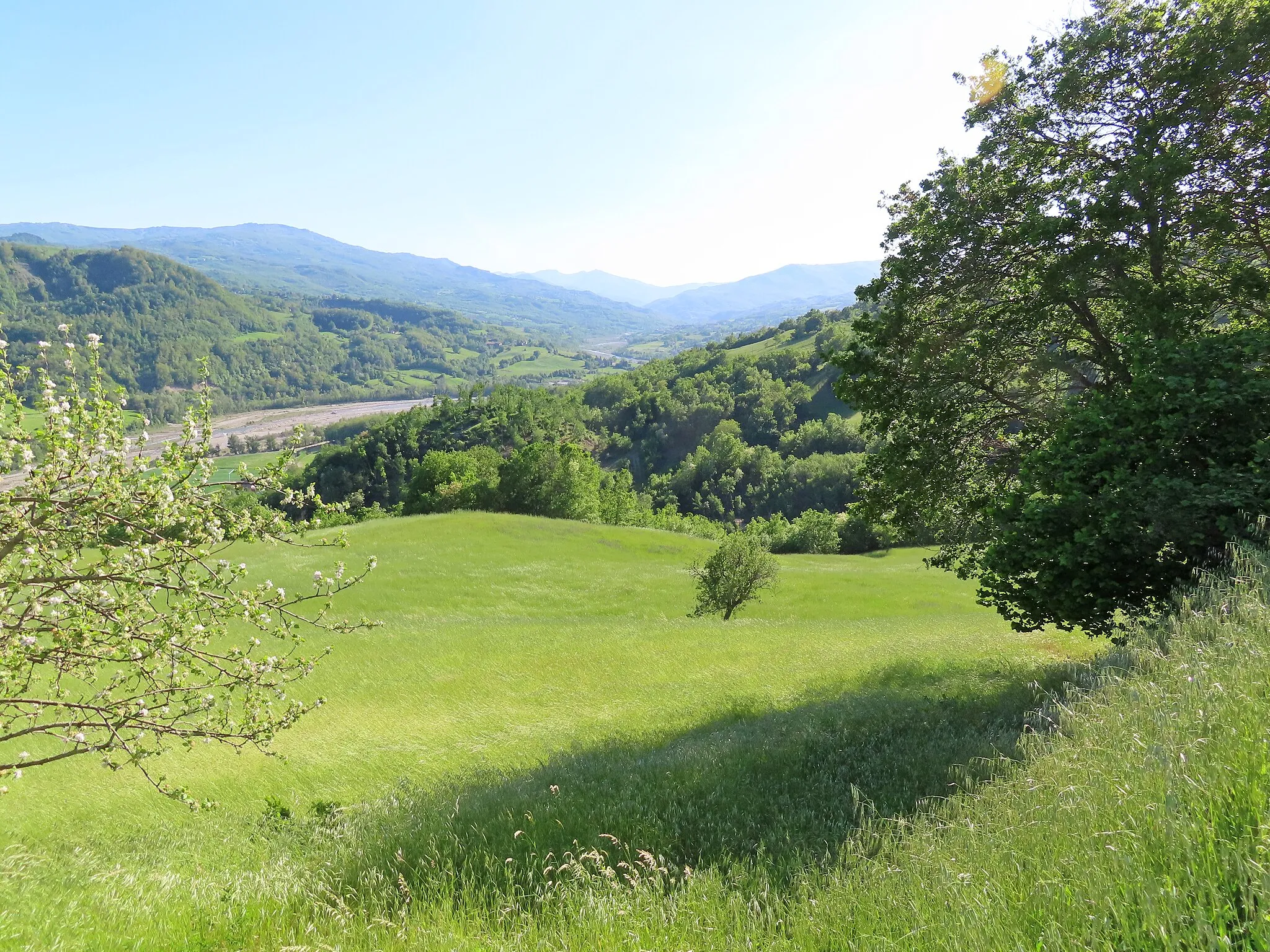 Photo showing: Collina del castello di Antesica