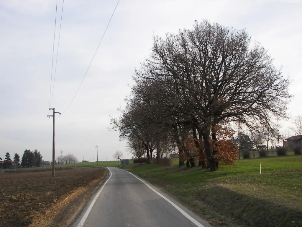 Photo showing: Via Montegrappa, Scampate frazione di Montecavolo (RE)