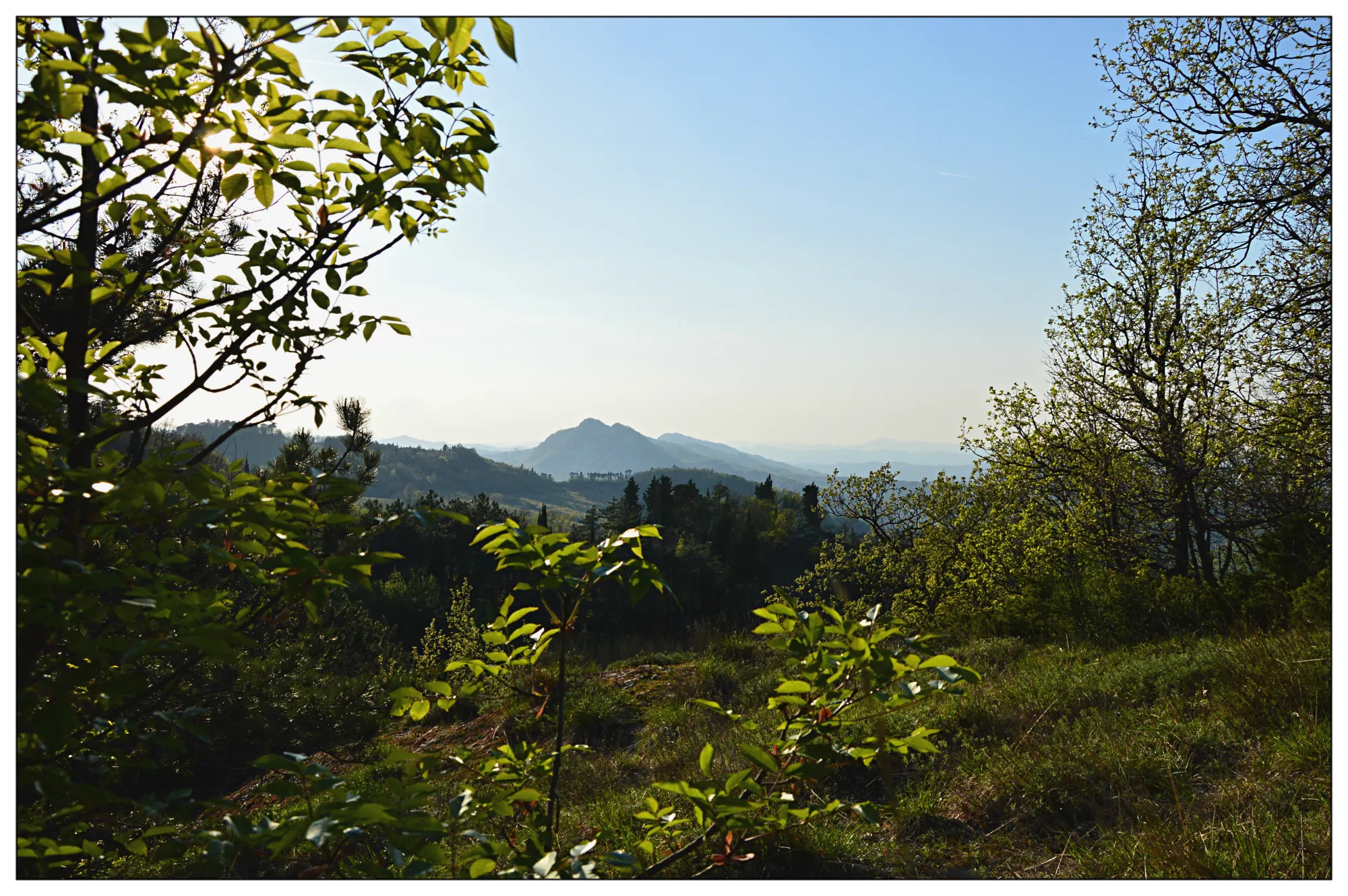 Photo showing: vista panoramica di monta mauro dal Carnè