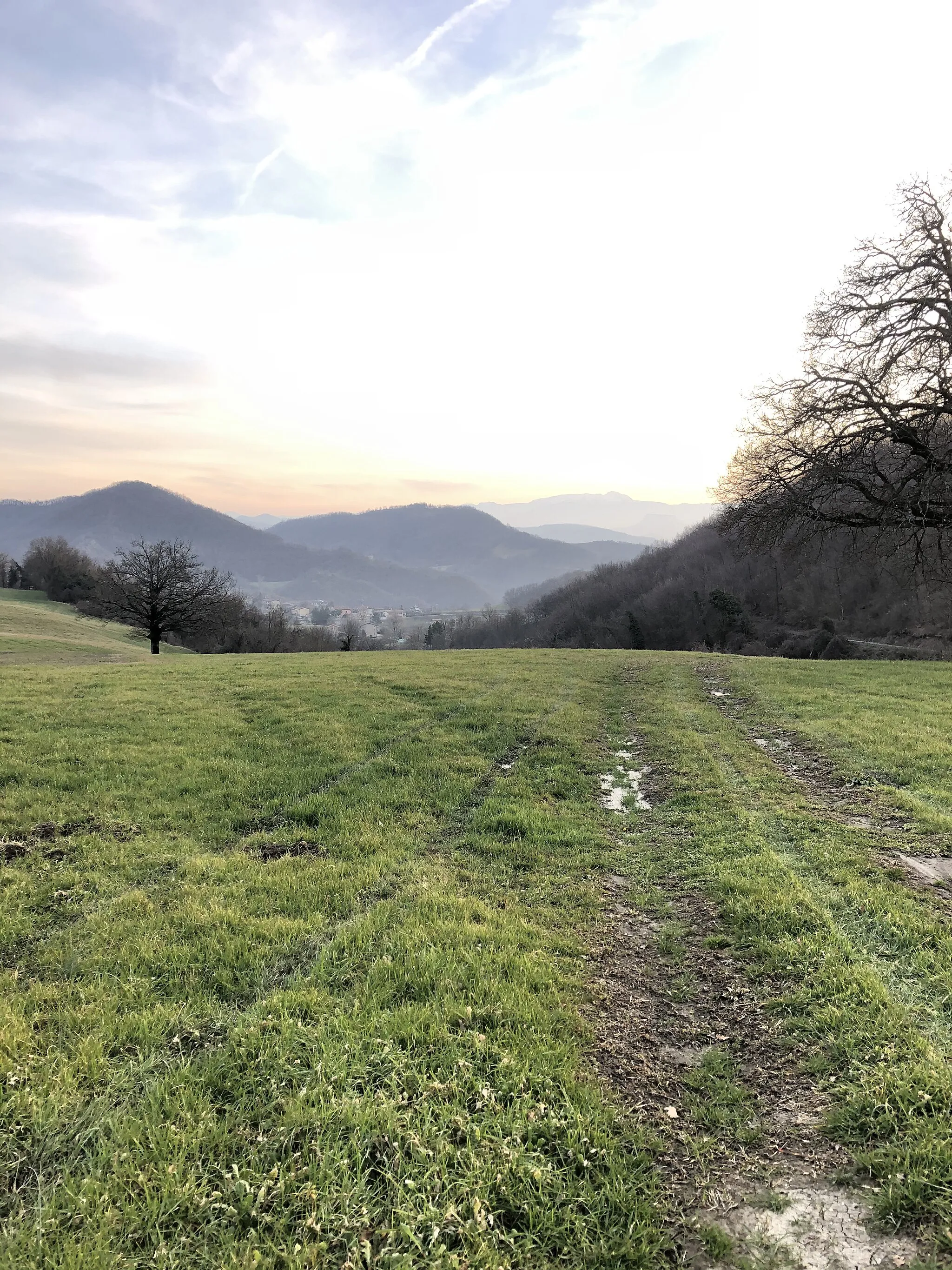 Photo showing: Monte Tesa - Verso Ceredolo dei Coppi