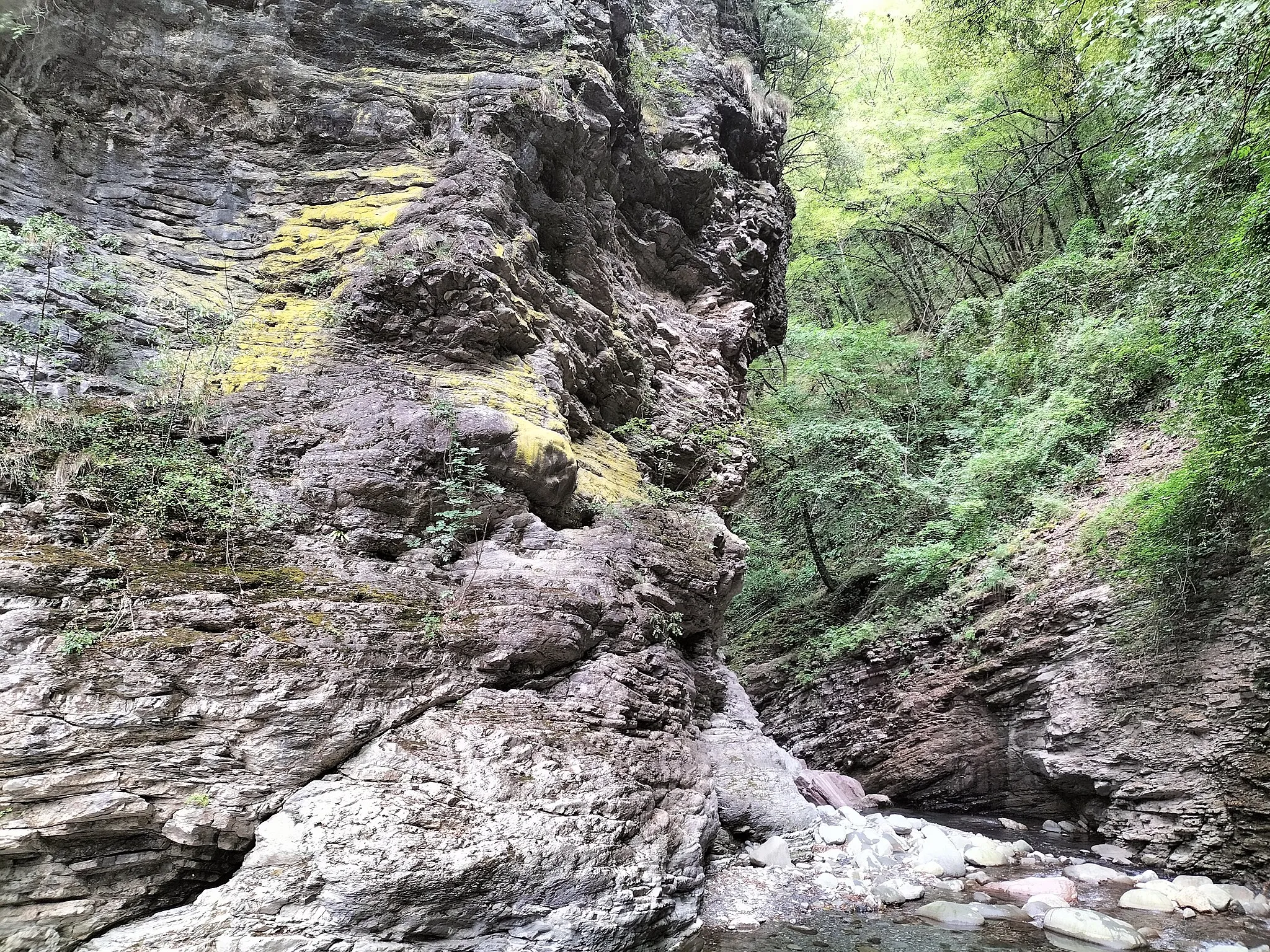 Photo showing: Licheni su parete rocciosa